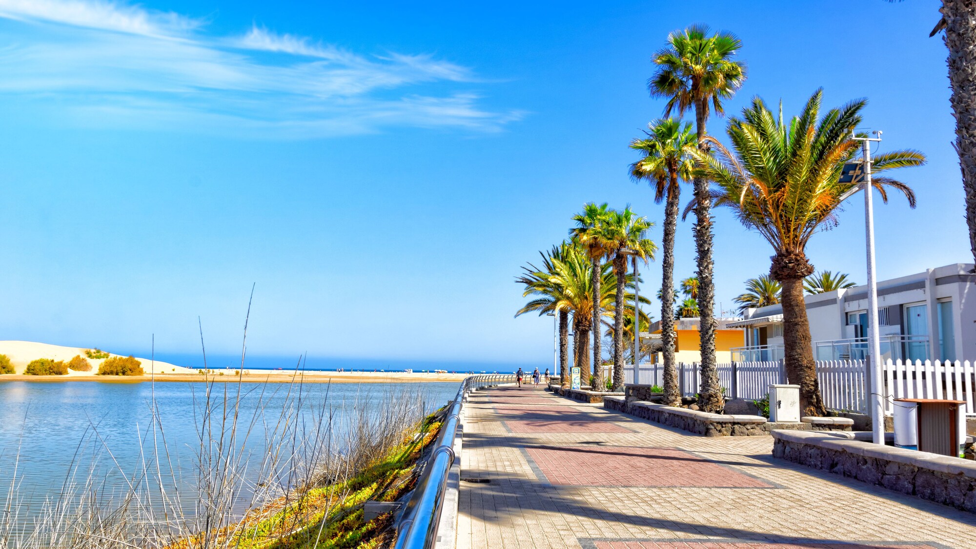 Apartamentos Los Cocoteros