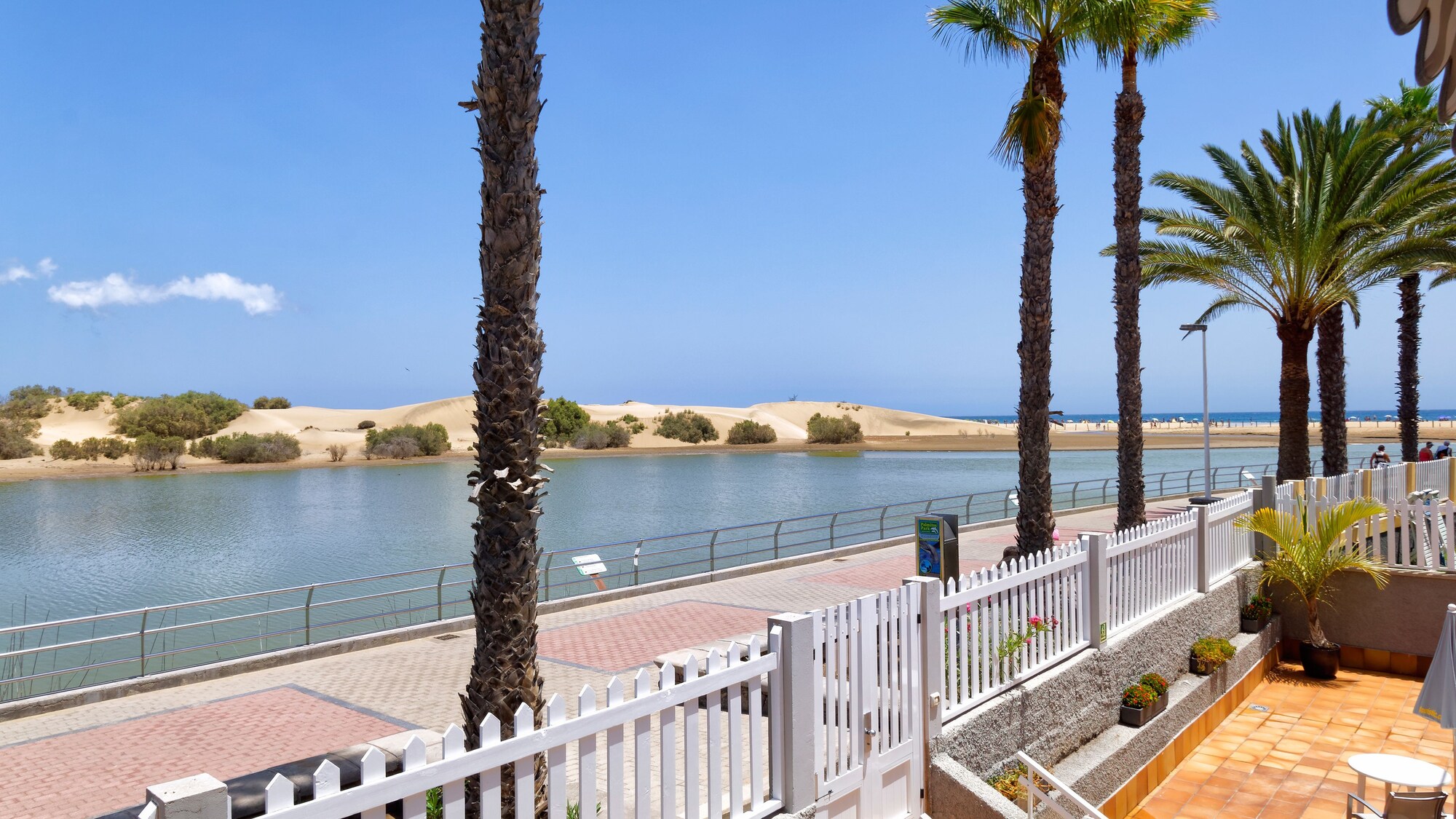 Apartamentos Los Cocoteros