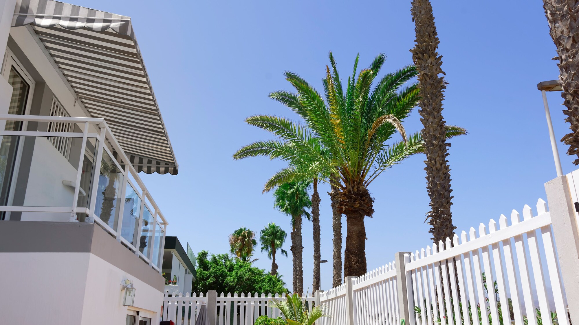 Apartamentos Los Cocoteros