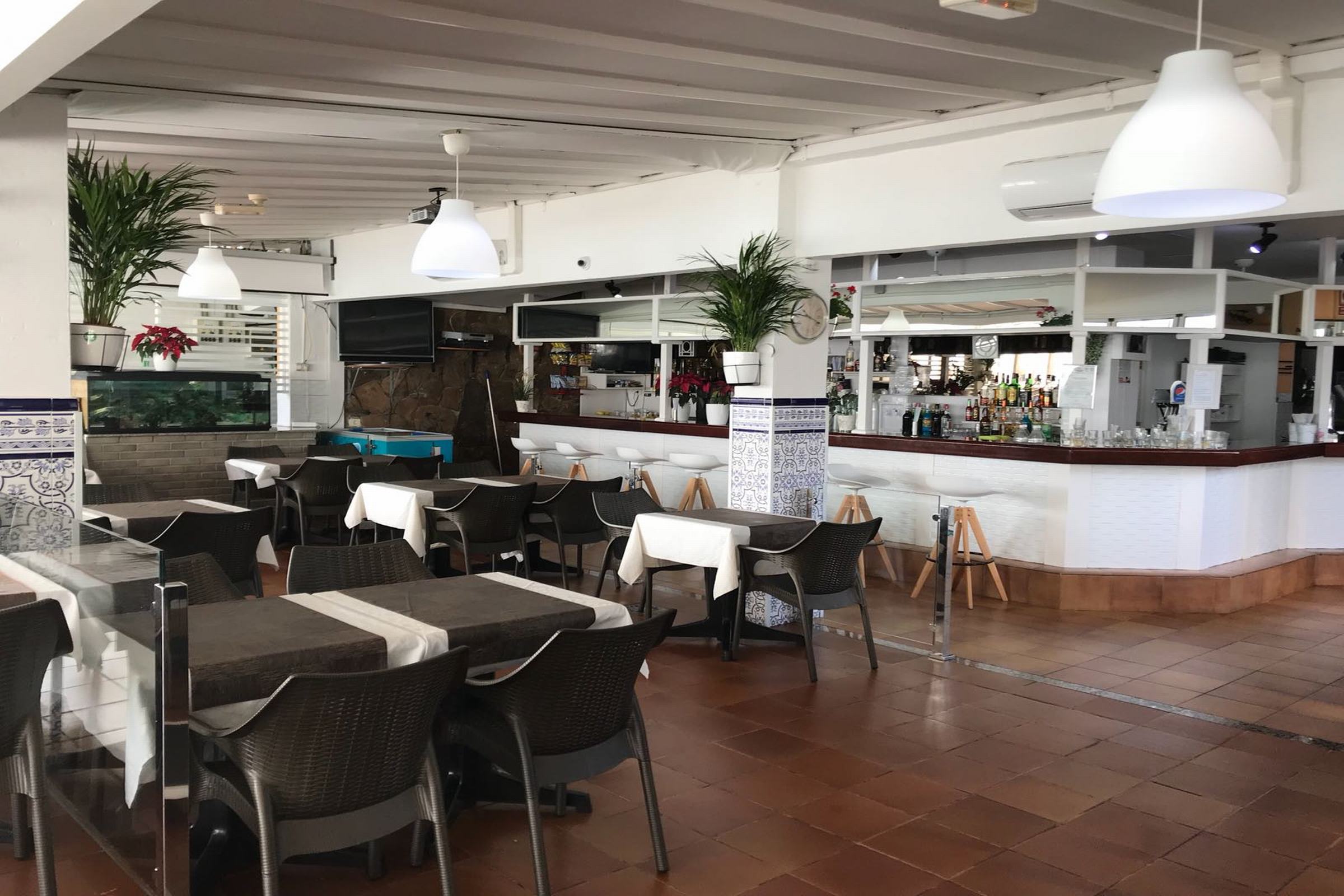 Vista Oasis Bungalows