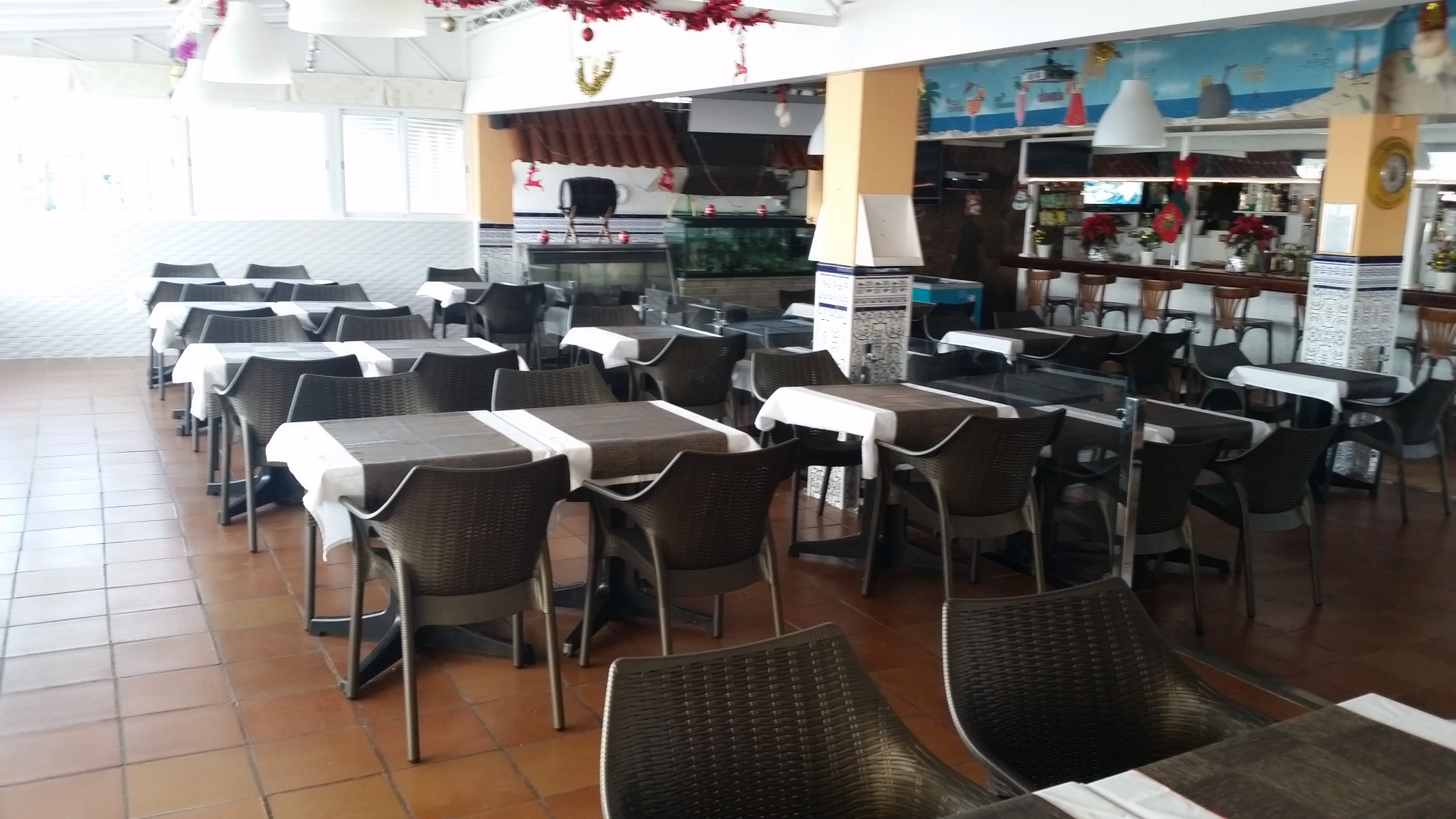 Vista Oasis Bungalows