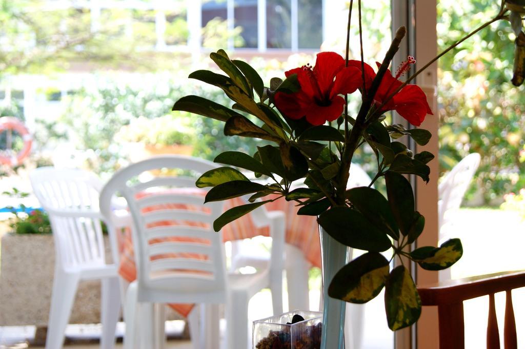 Apartamentos Ecuador