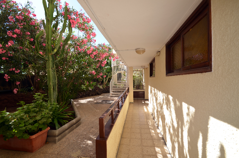 Apartamentos Los Juncos I