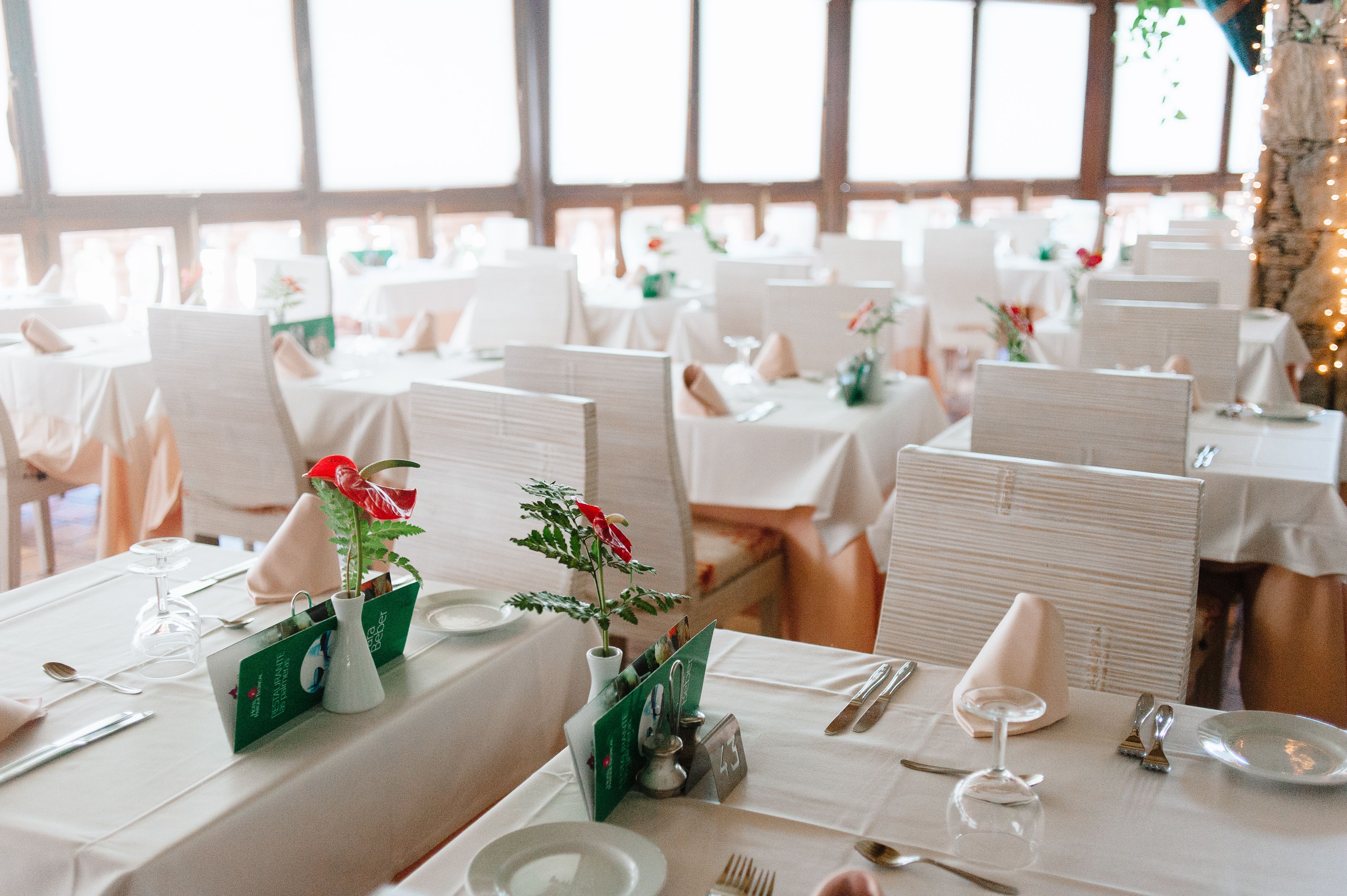 Hotel Parque Tropical