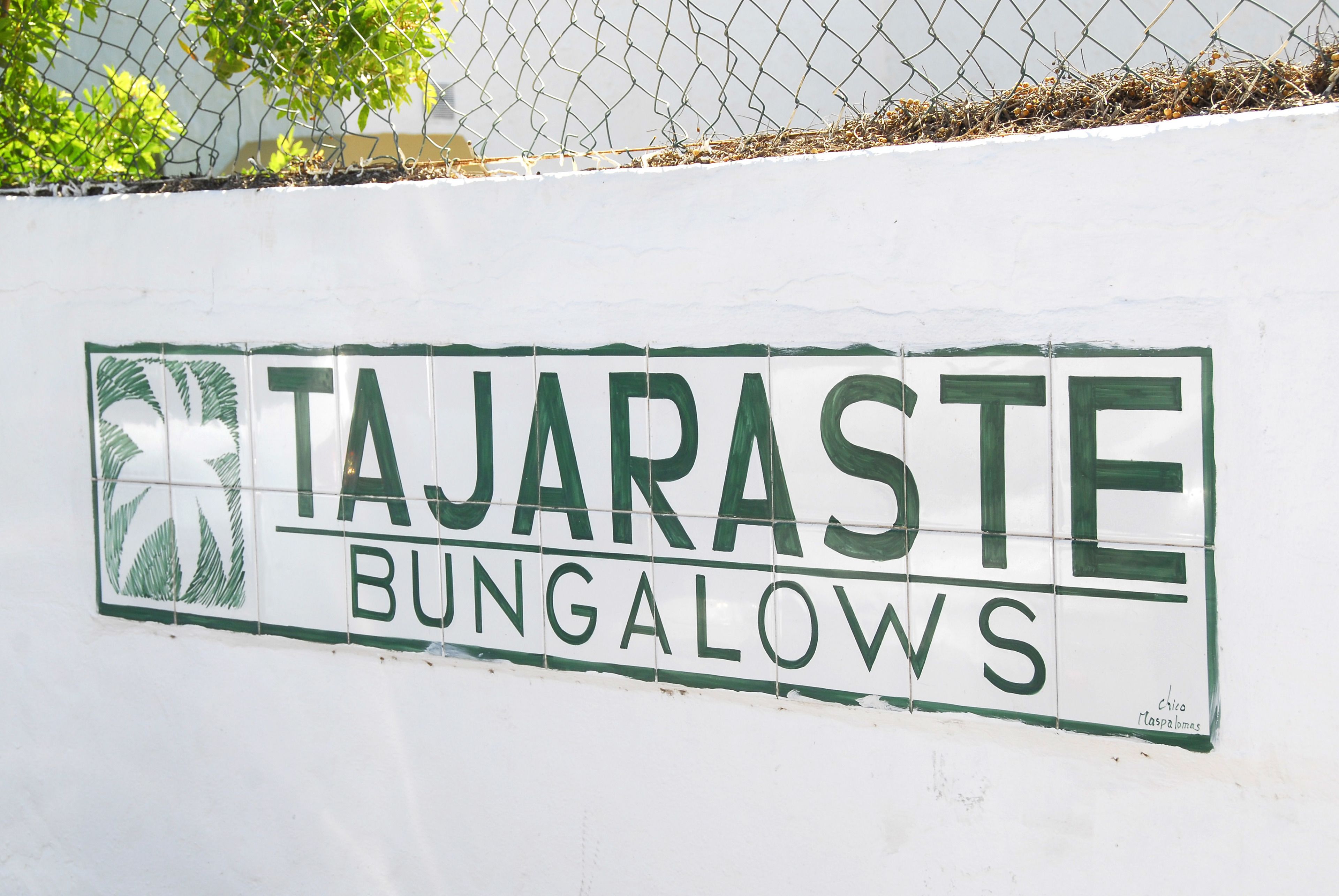 Bungalows Tajaraste