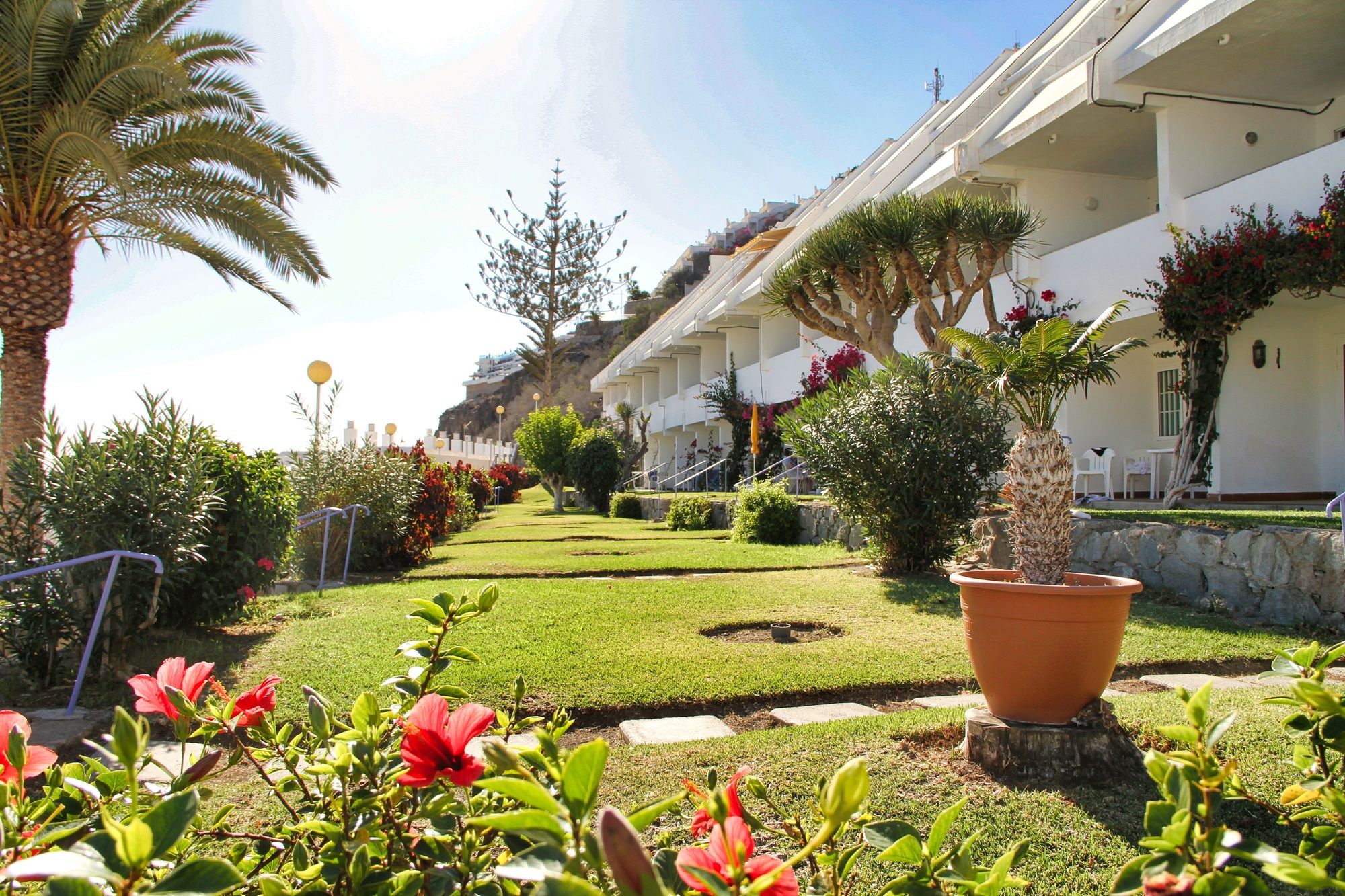 Vistaflor Puerto Plata