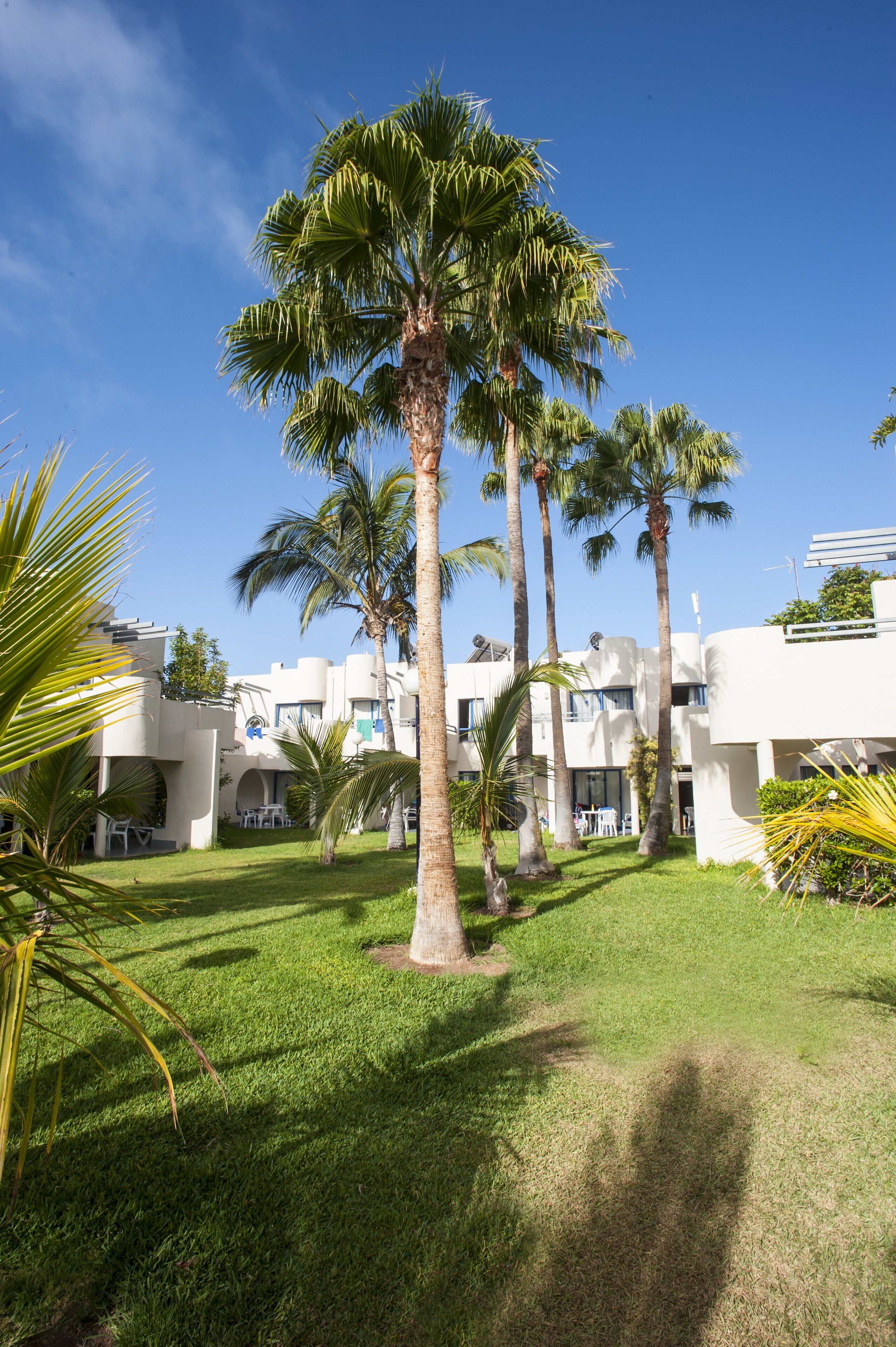 Servatur Edén & Buganvillas