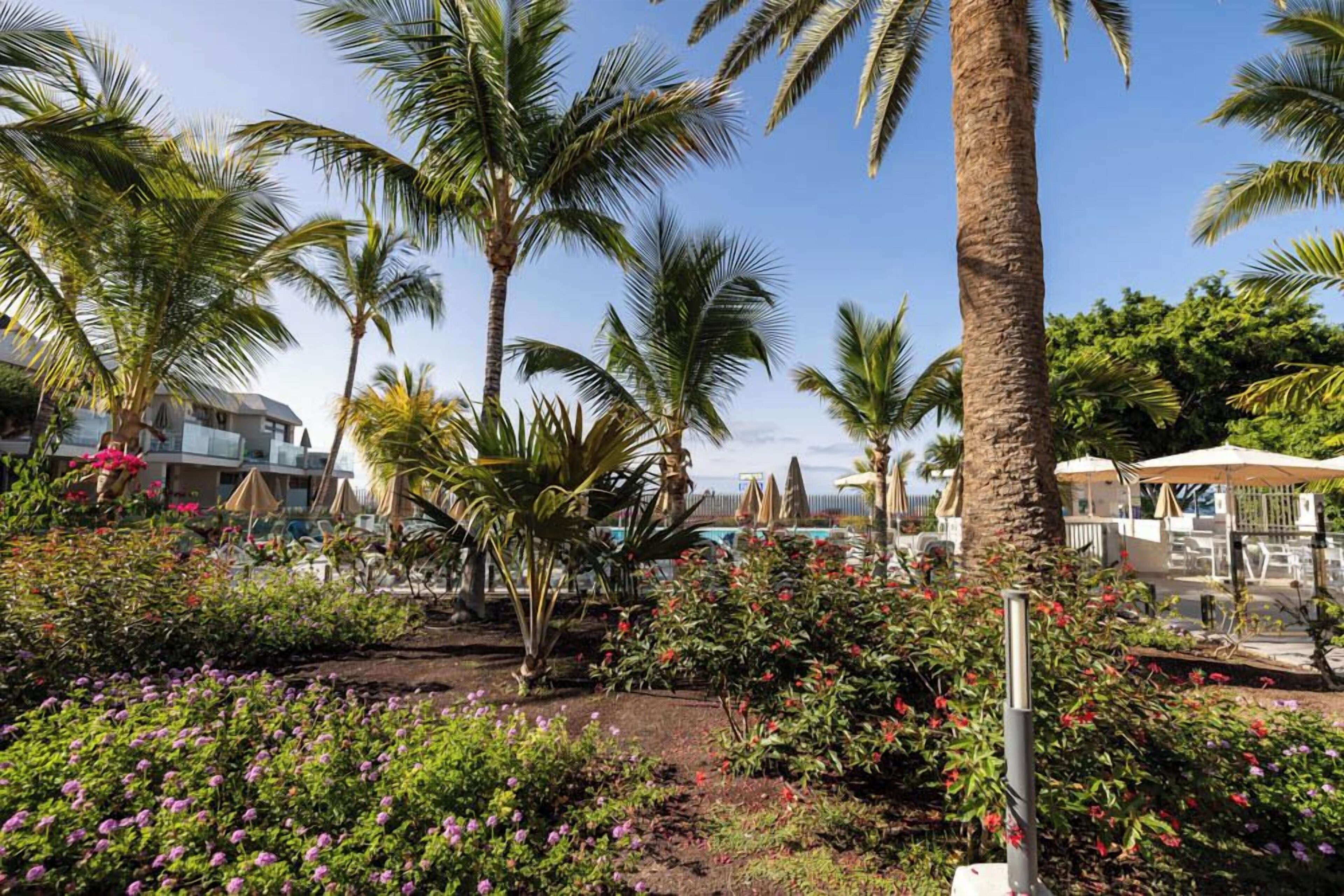 Servatur Edén & Buganvillas