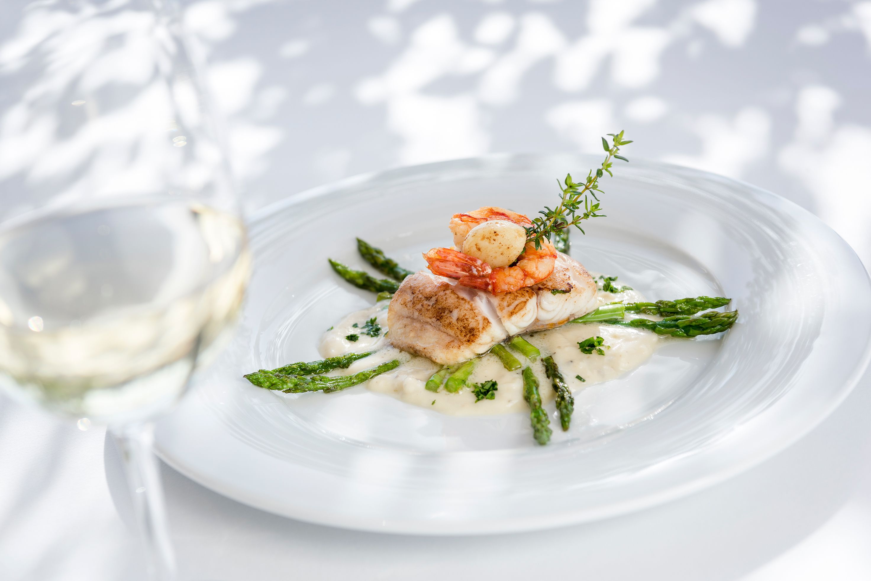 Casa León Royal Retreat