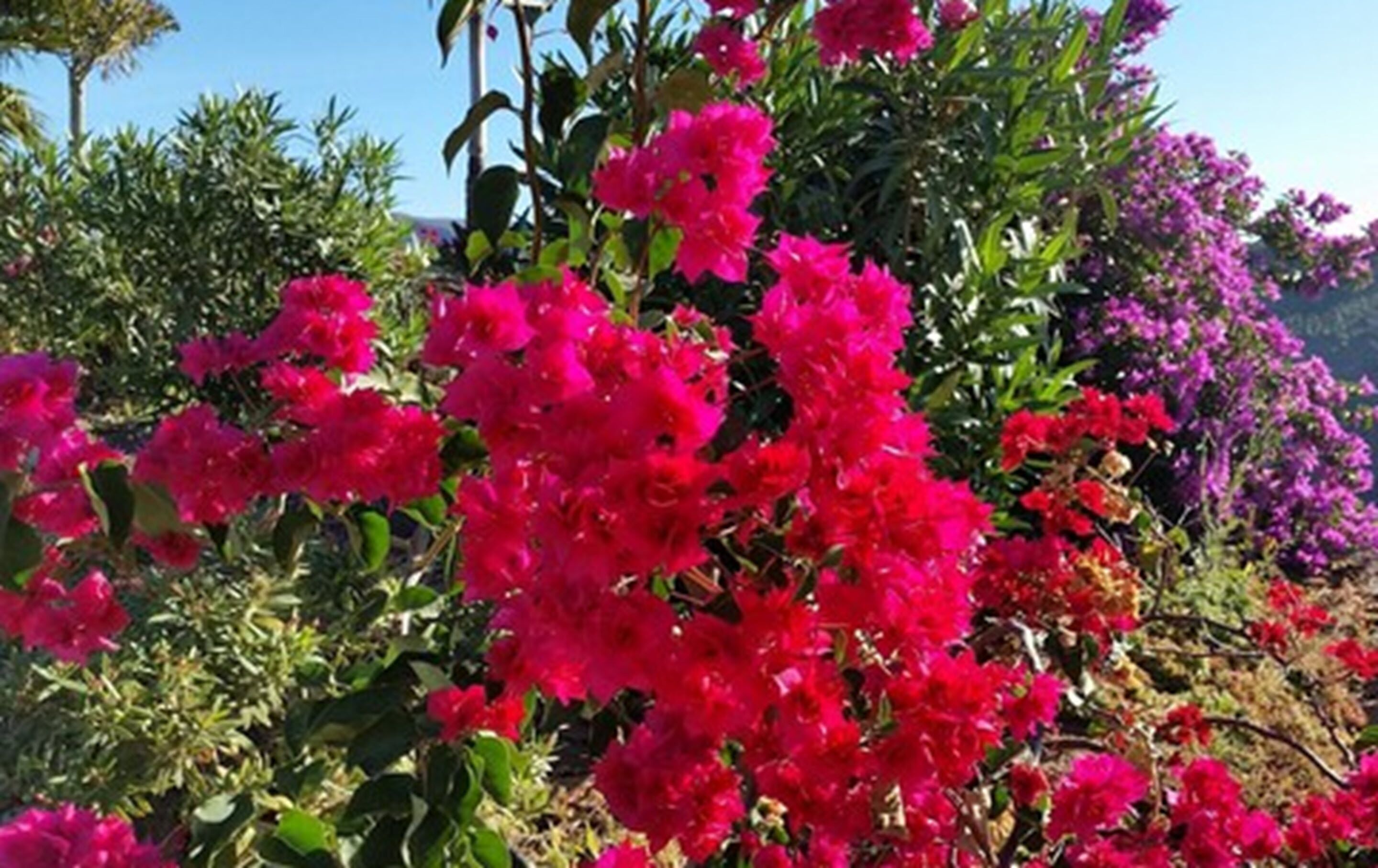 Casa León Royal Retreat