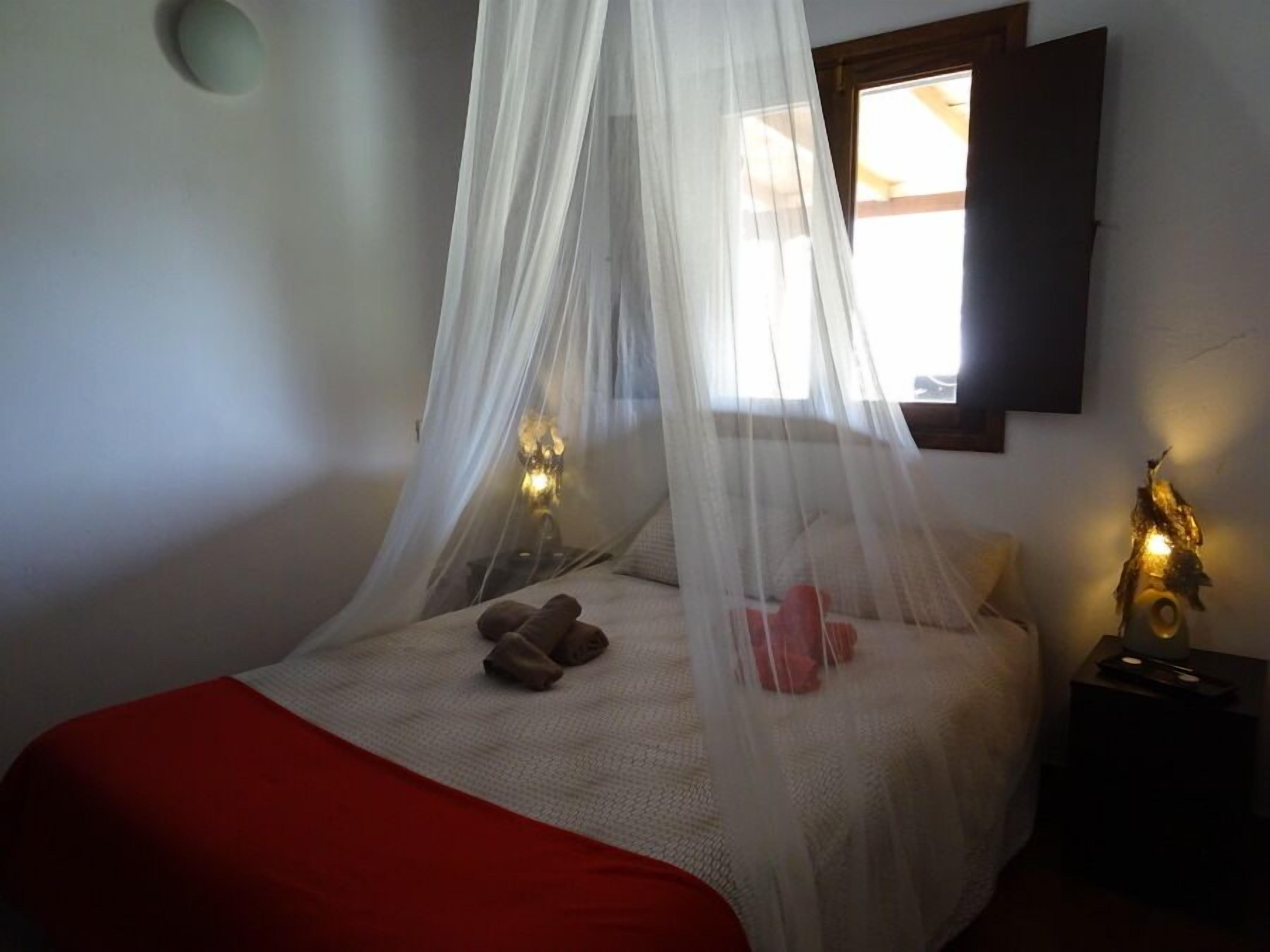 EcoTara Canary Islands