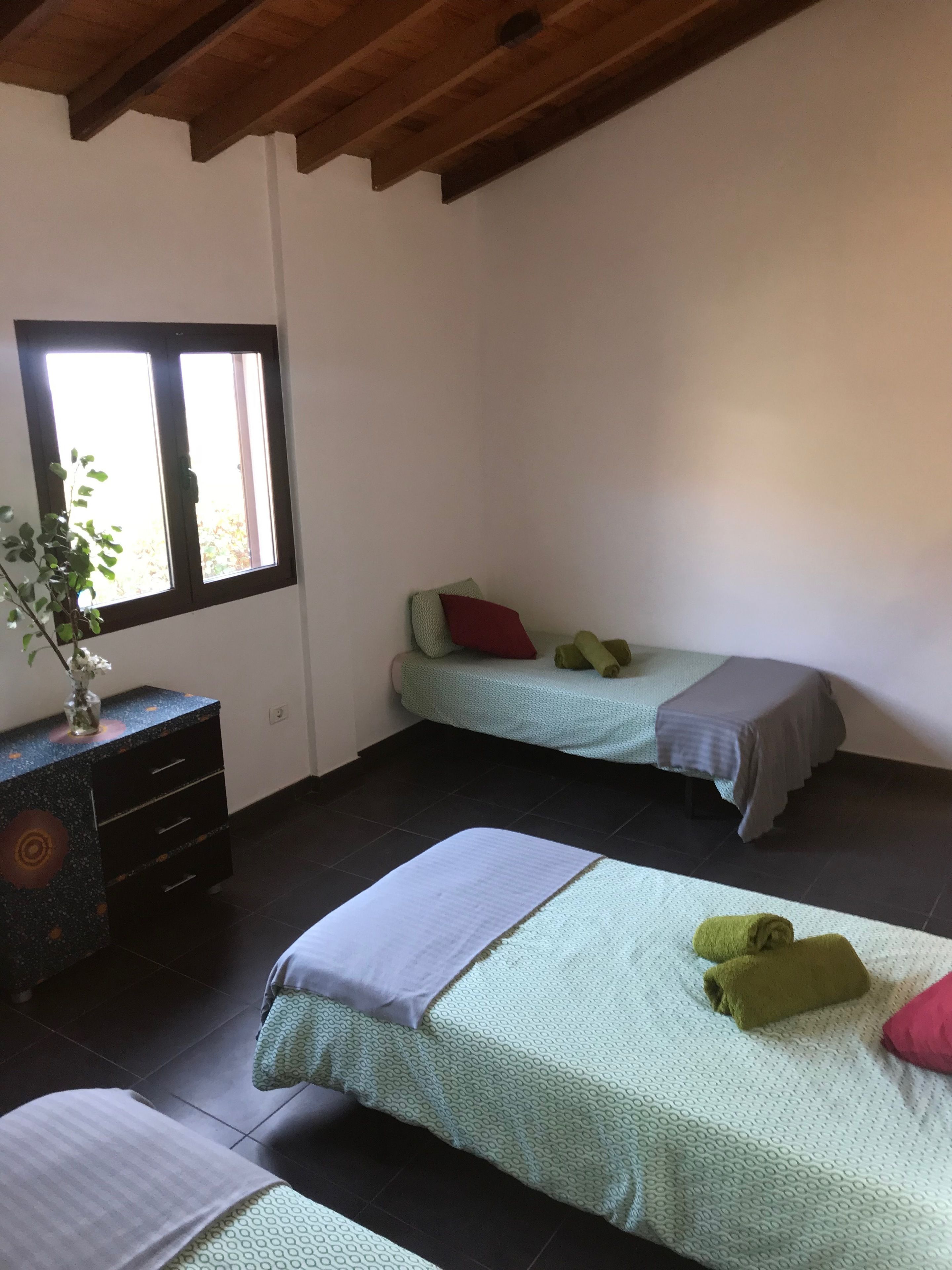 EcoTara Canary Islands