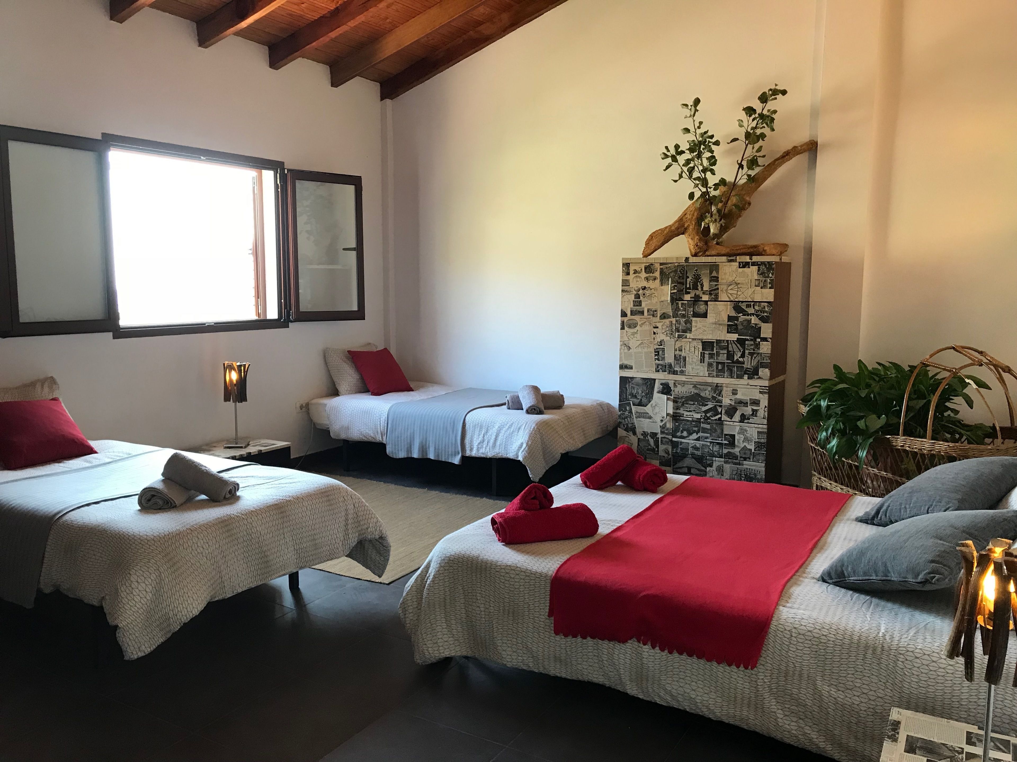 EcoTara Canary Islands