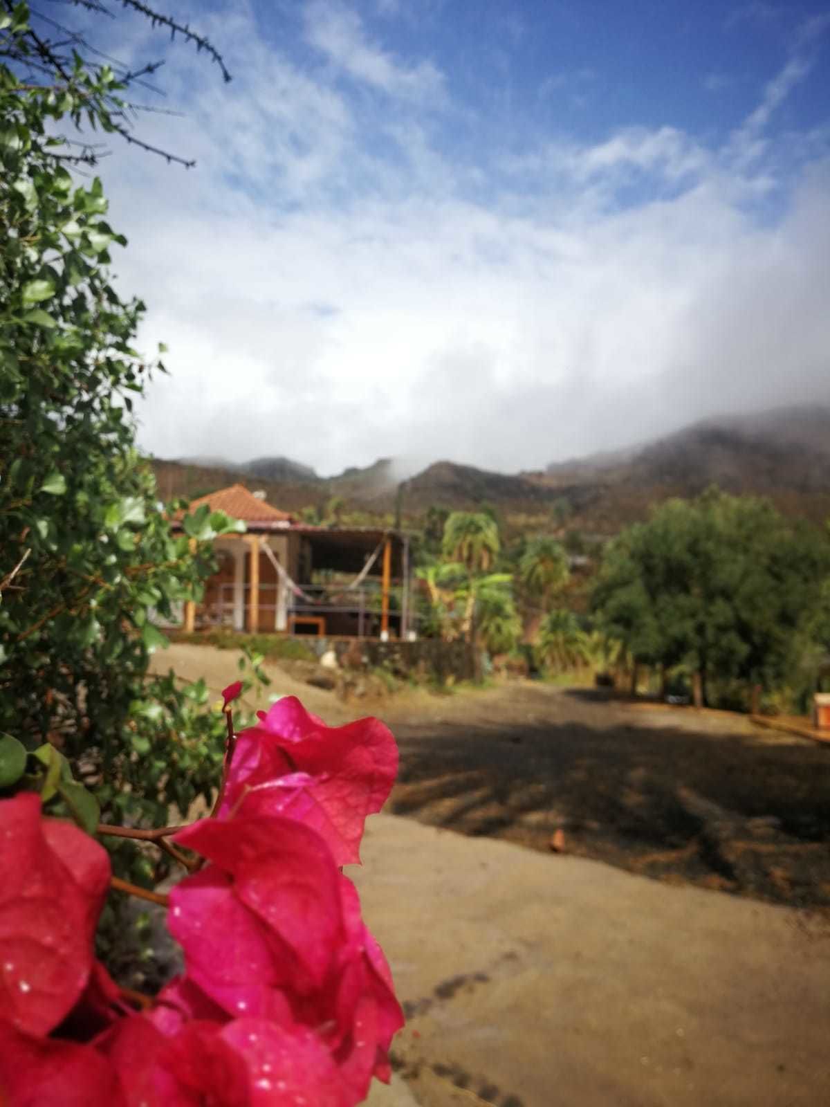 EcoTara Canary Islands