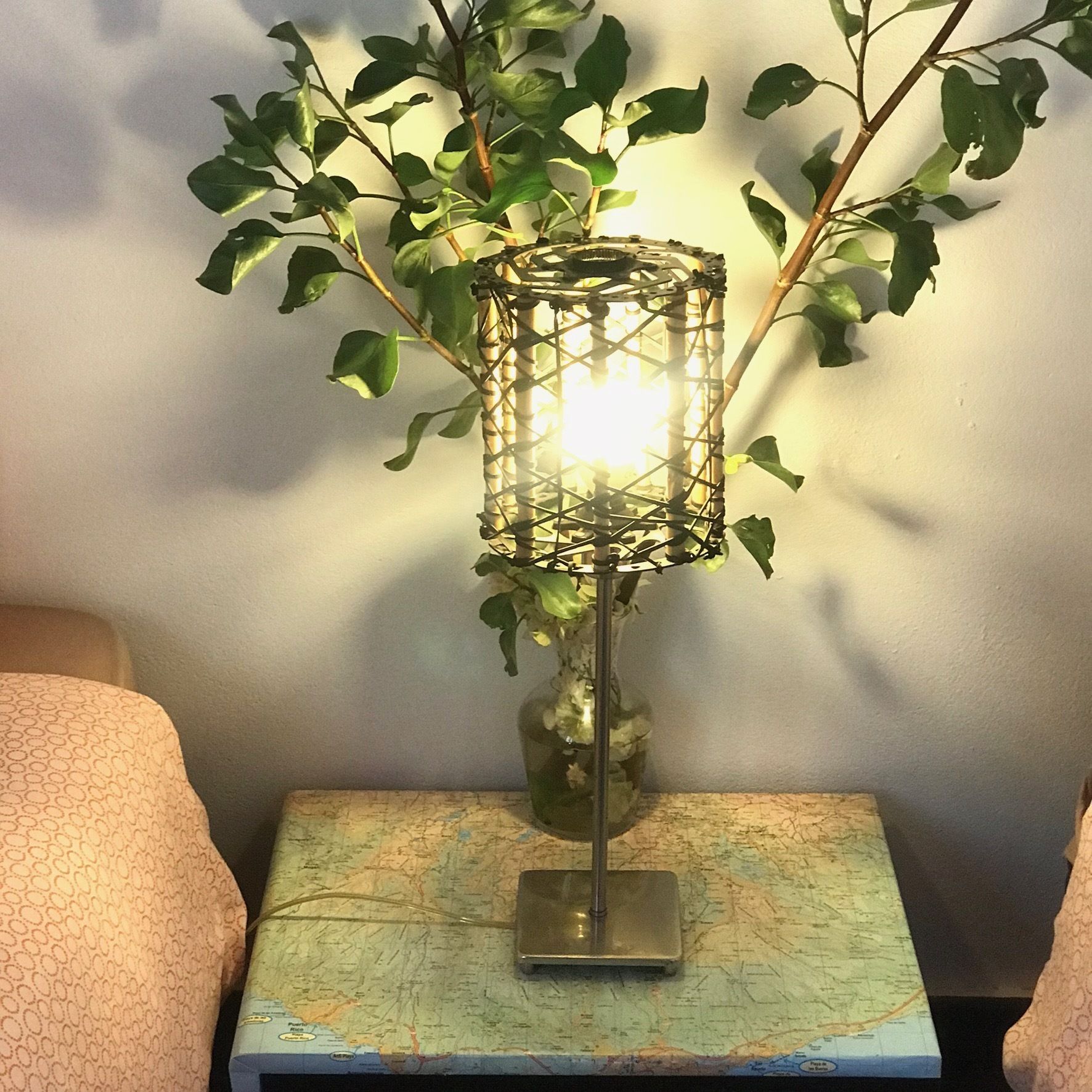 EcoTara Canary Islands