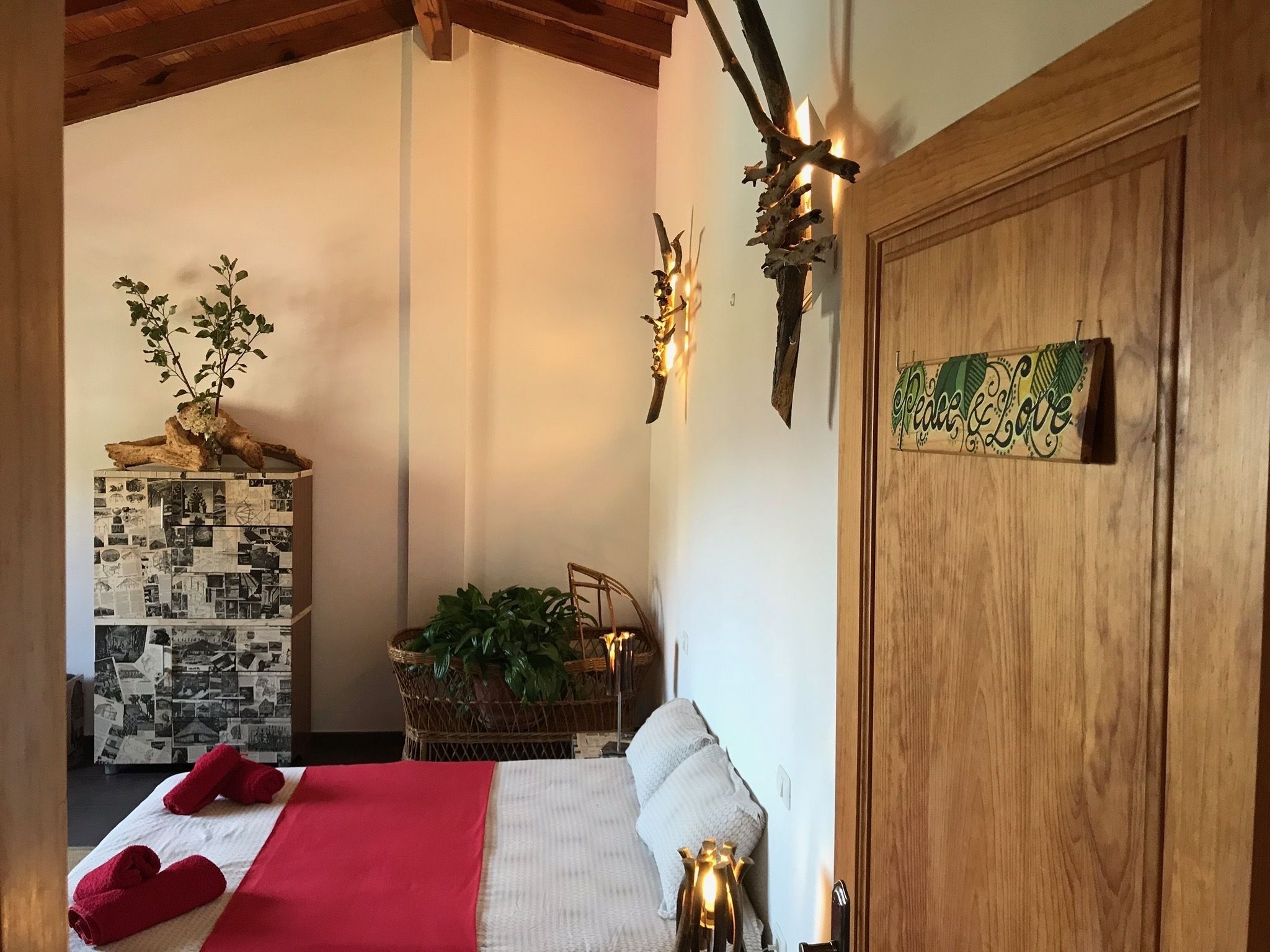 EcoTara Canary Islands