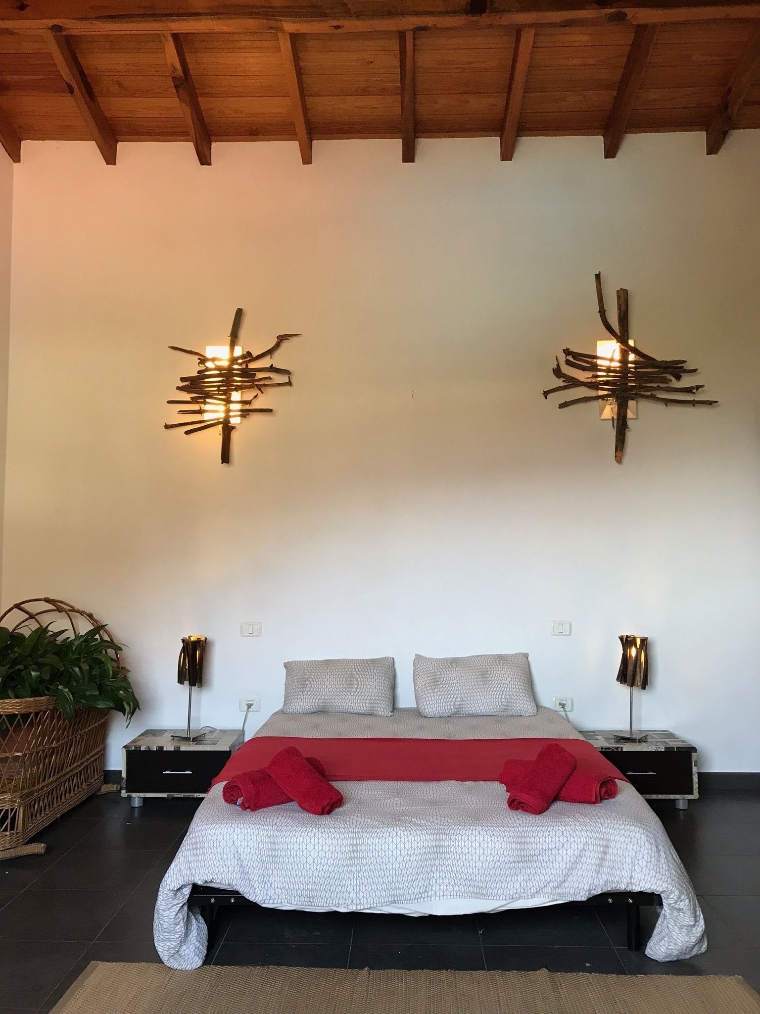 EcoTara Canary Islands