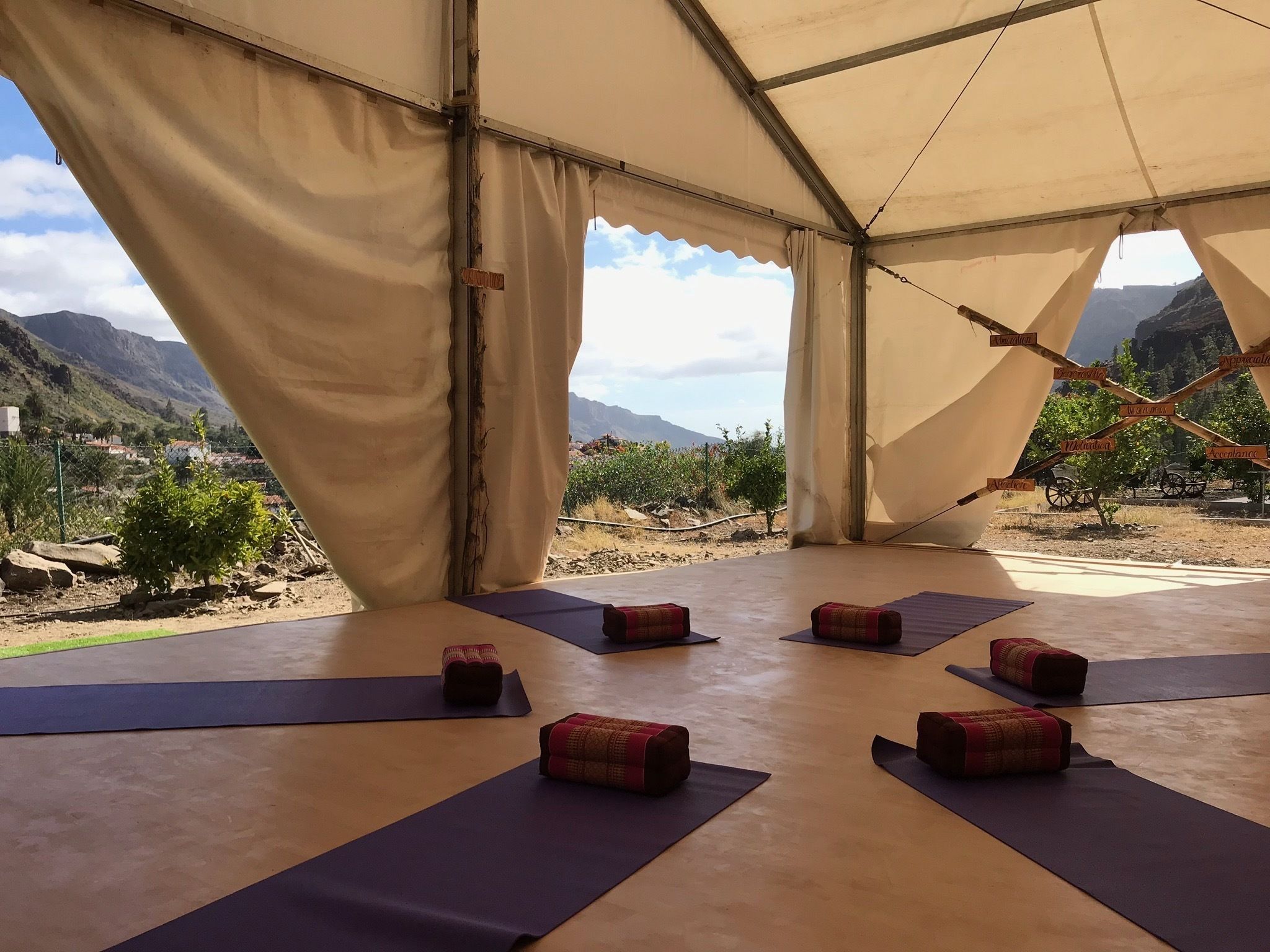 EcoTara Canary Islands