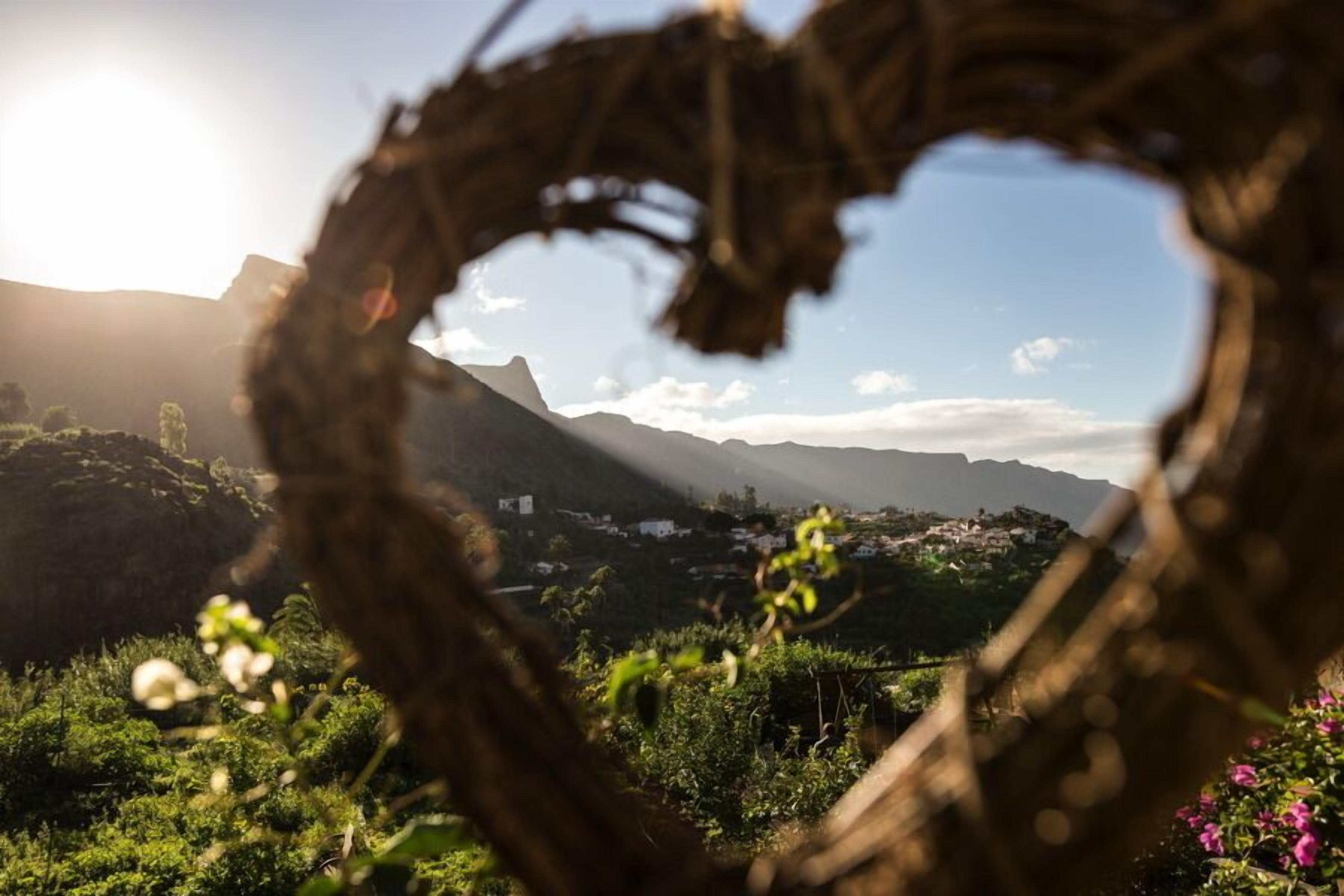 EcoTara Canary Islands