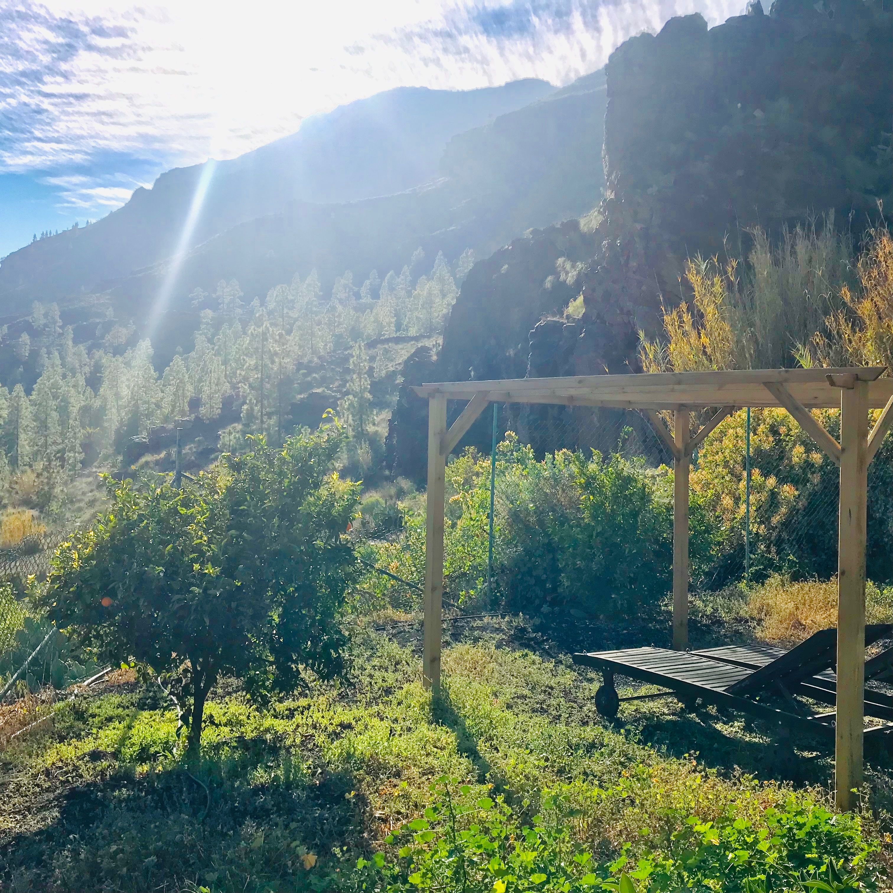 EcoTara Canary Islands