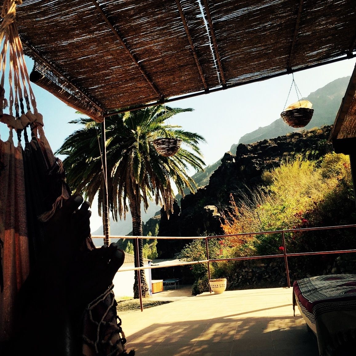 EcoTara Canary Islands