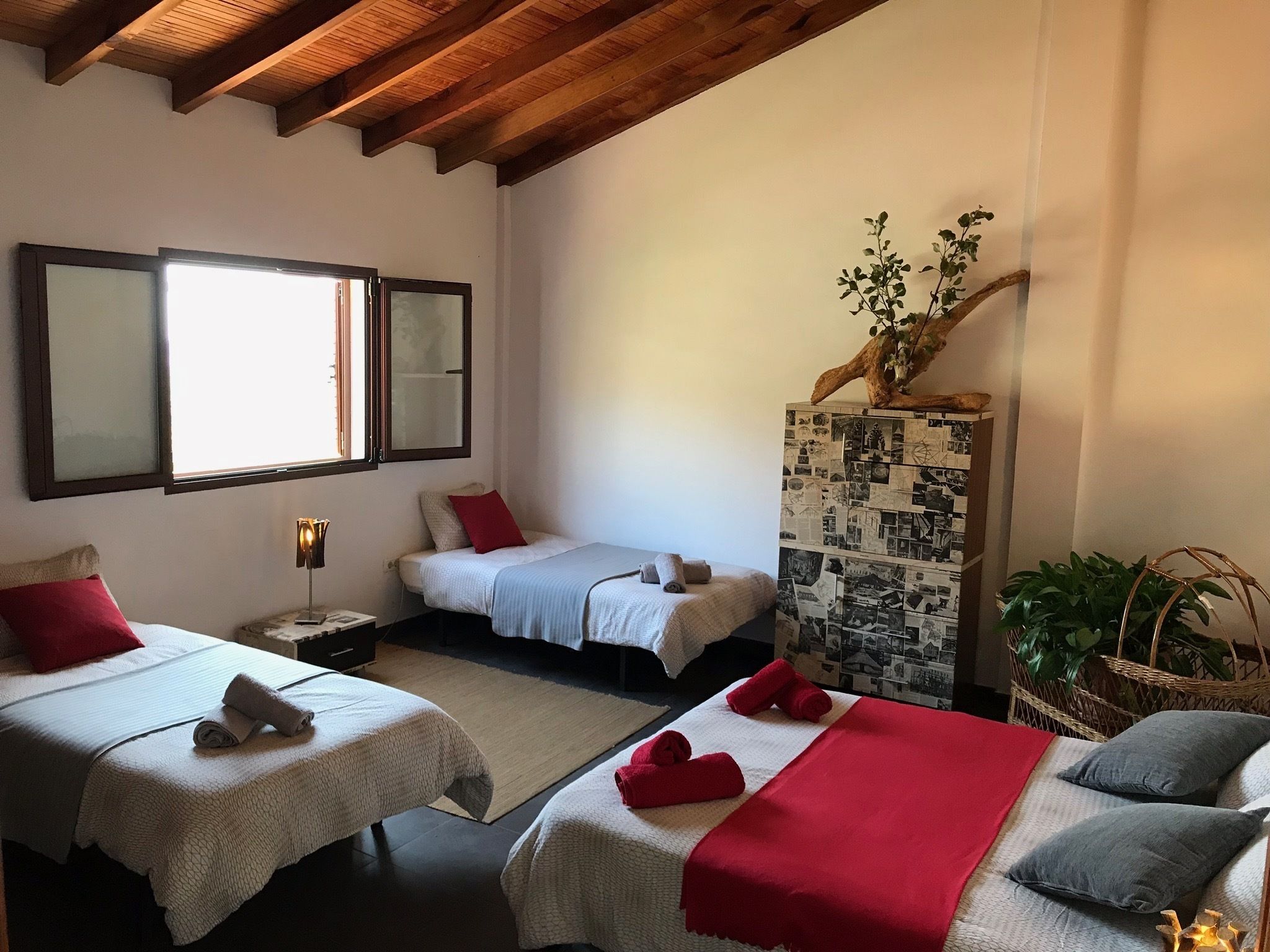 EcoTara Canary Islands