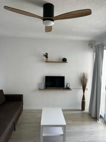 Apartamentos Cana Sofia