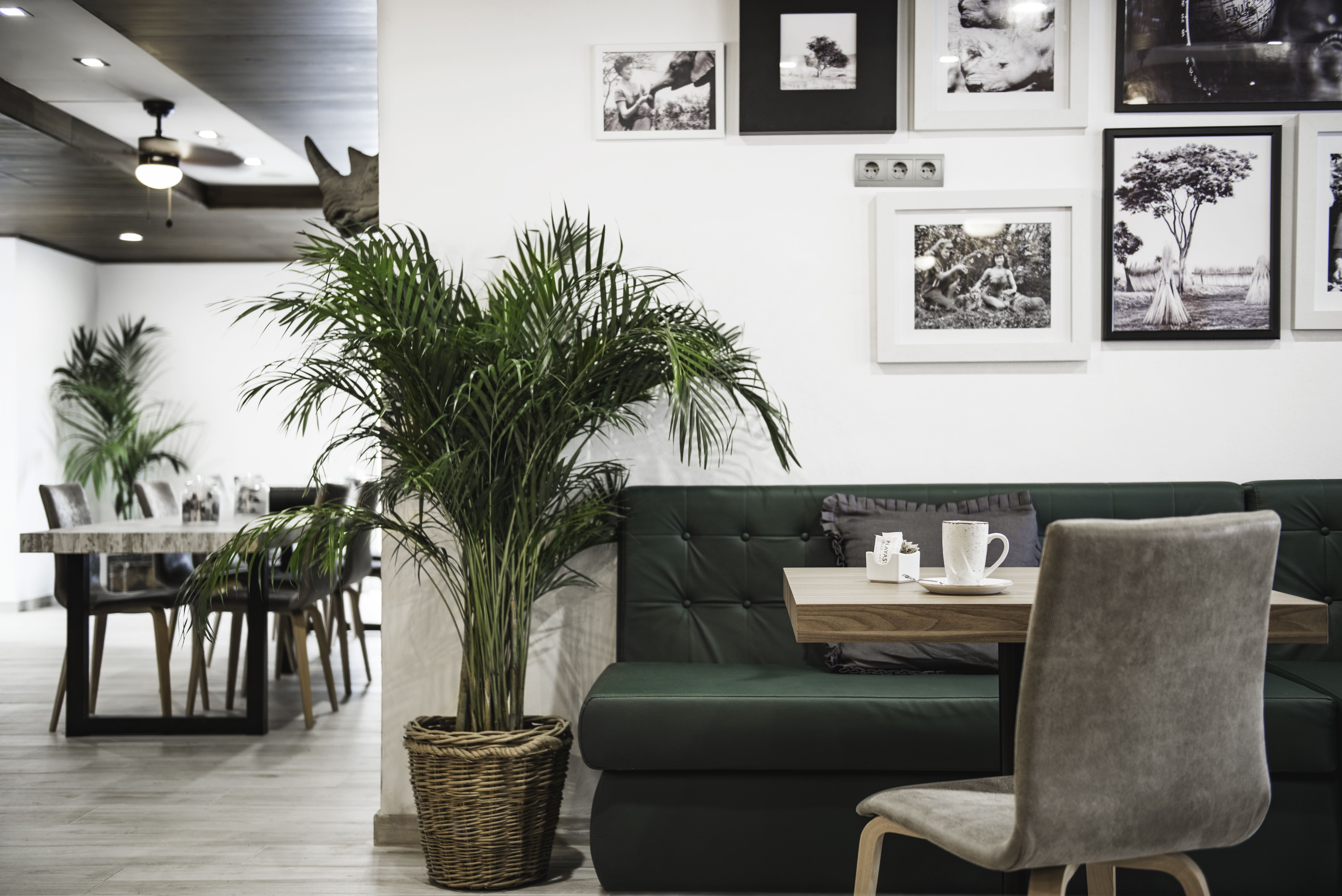 Aparthotel Vibra Mogambo