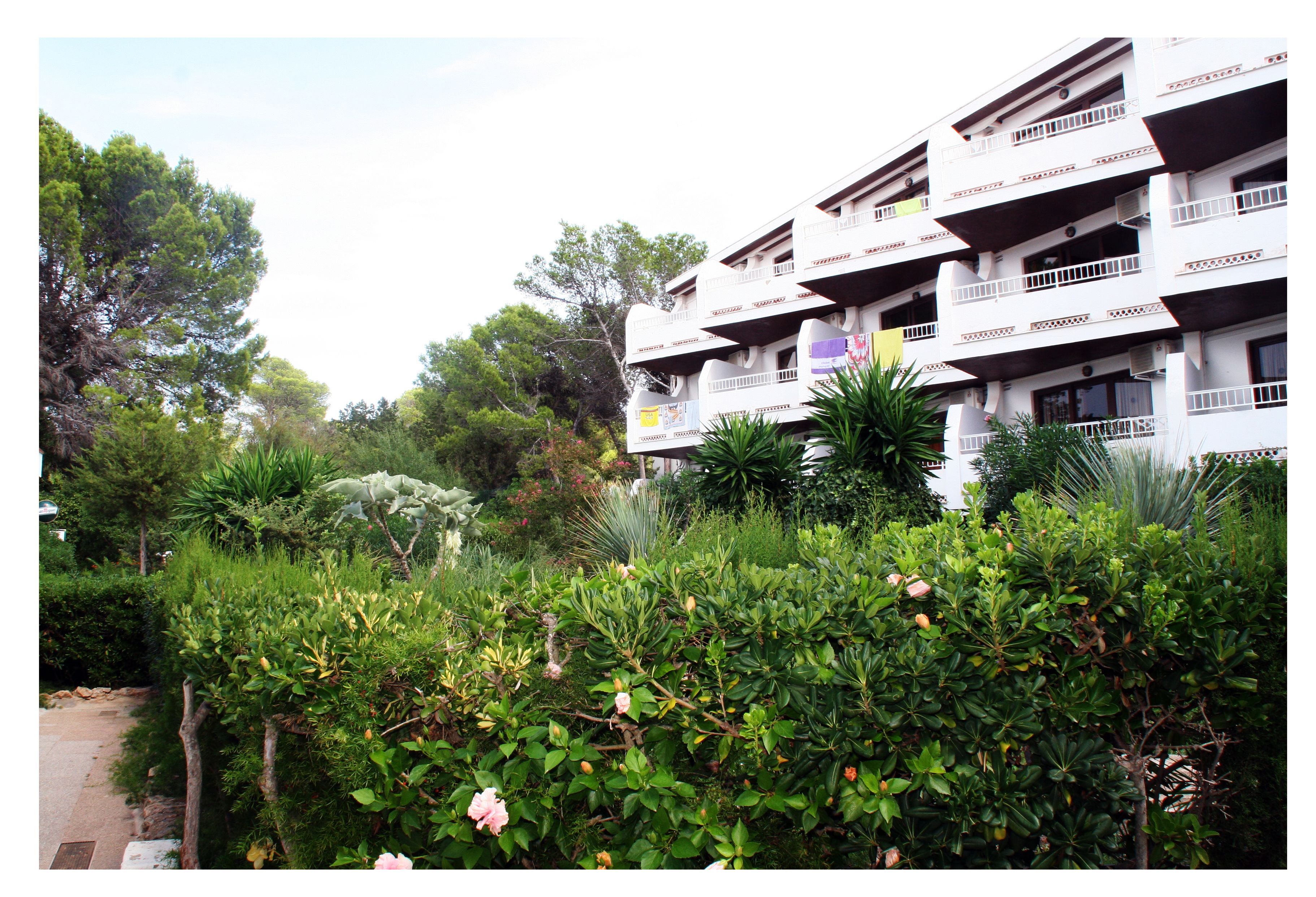 Apartamentos del Rey