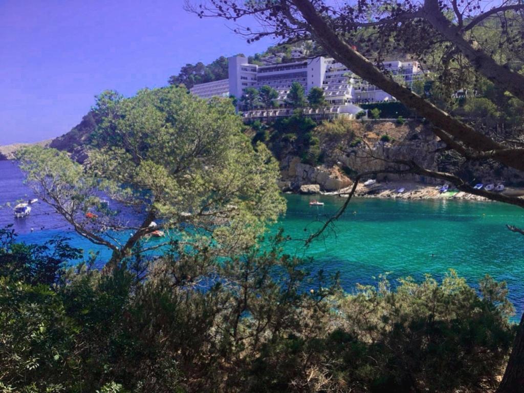 The Club Cala San Miguel Hotel Ibiza, Curio Collection by Hilton