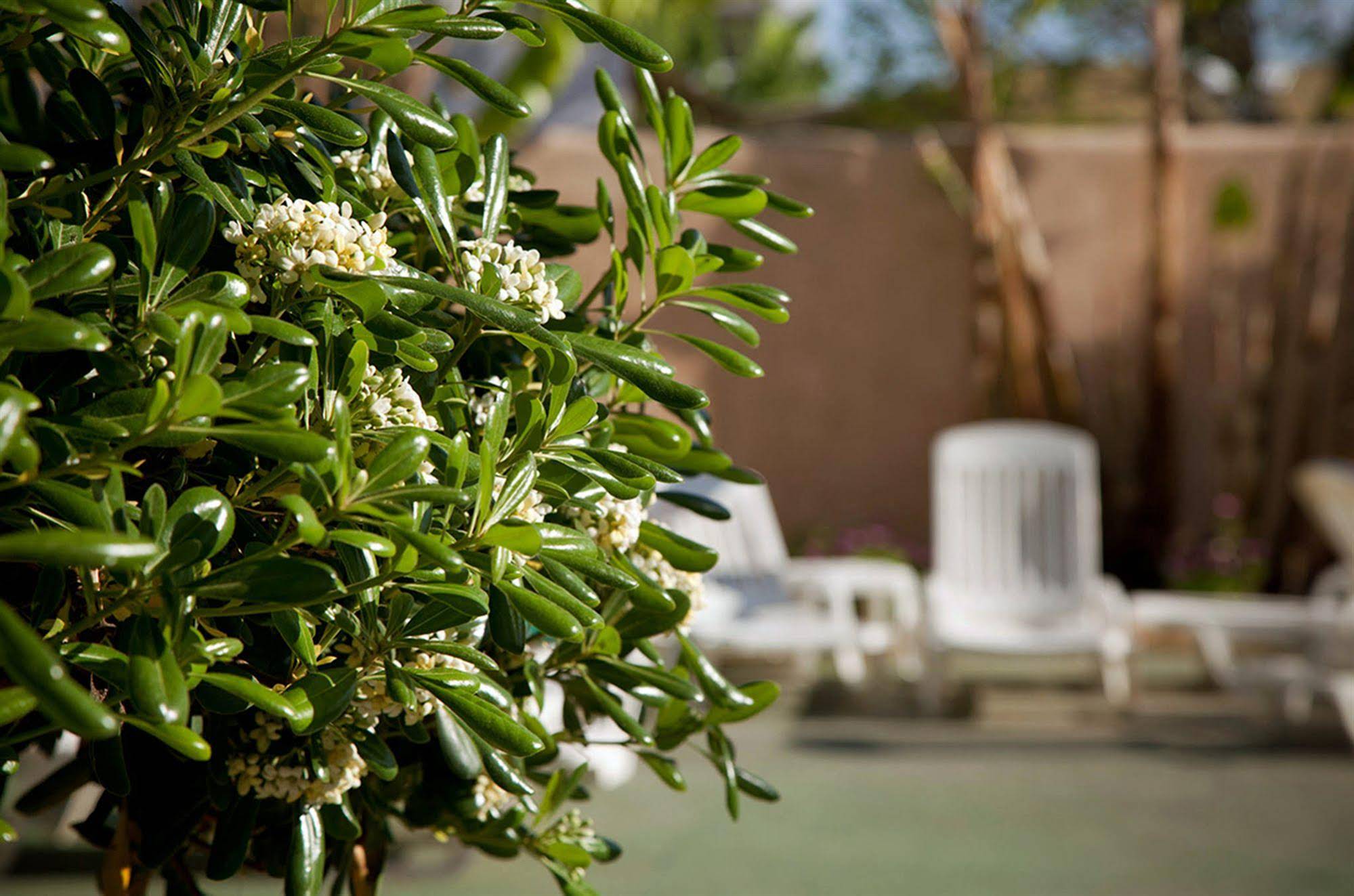 Hotel Vibra Marco Polo II