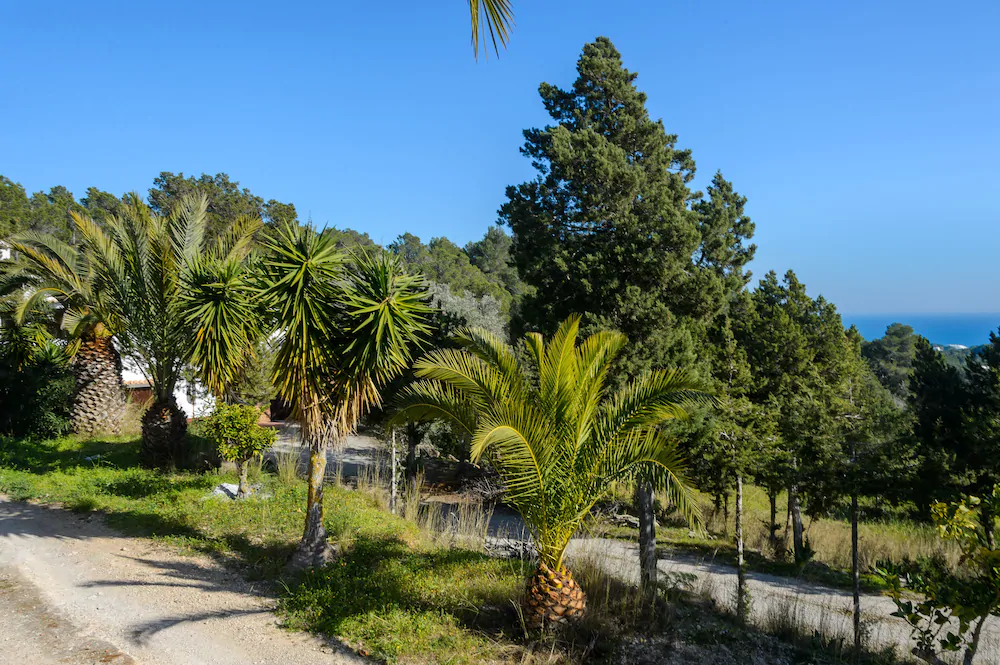 Villa Bella Vista Peralta