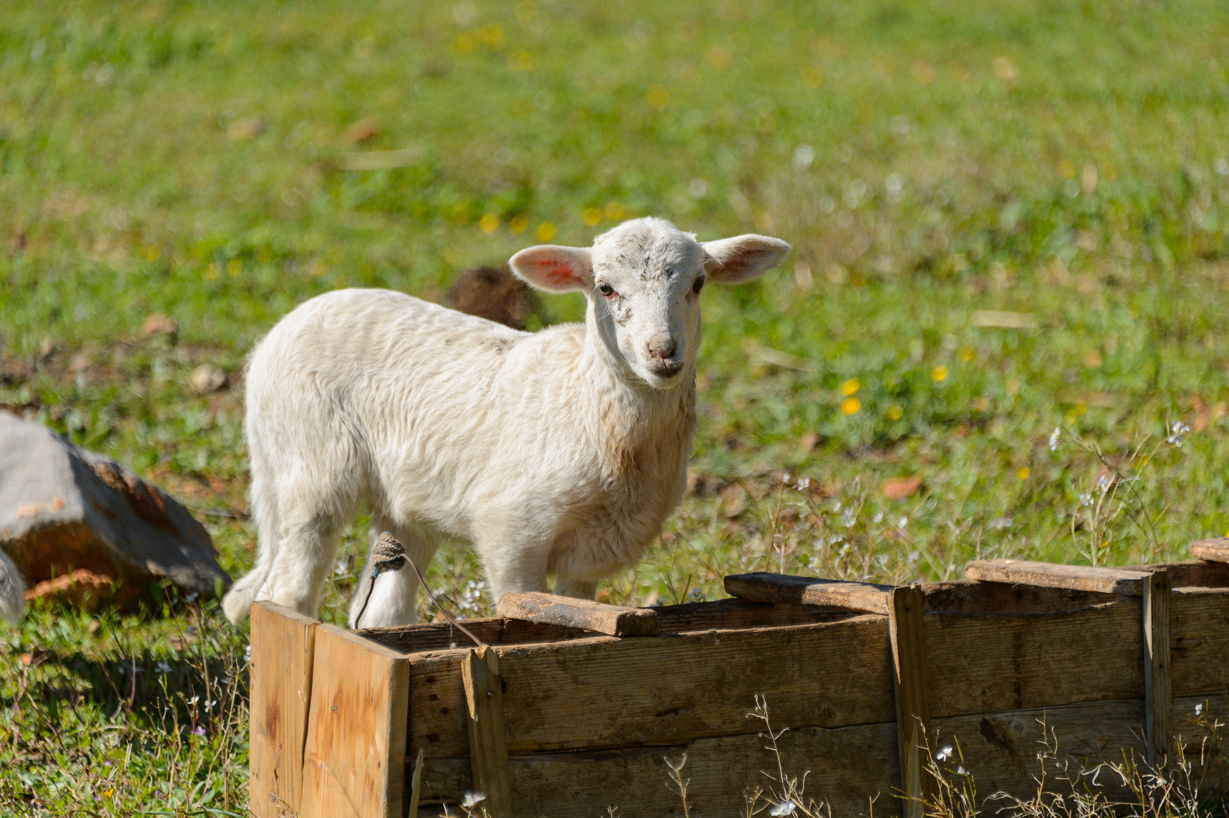Es Mirador de Can Prats