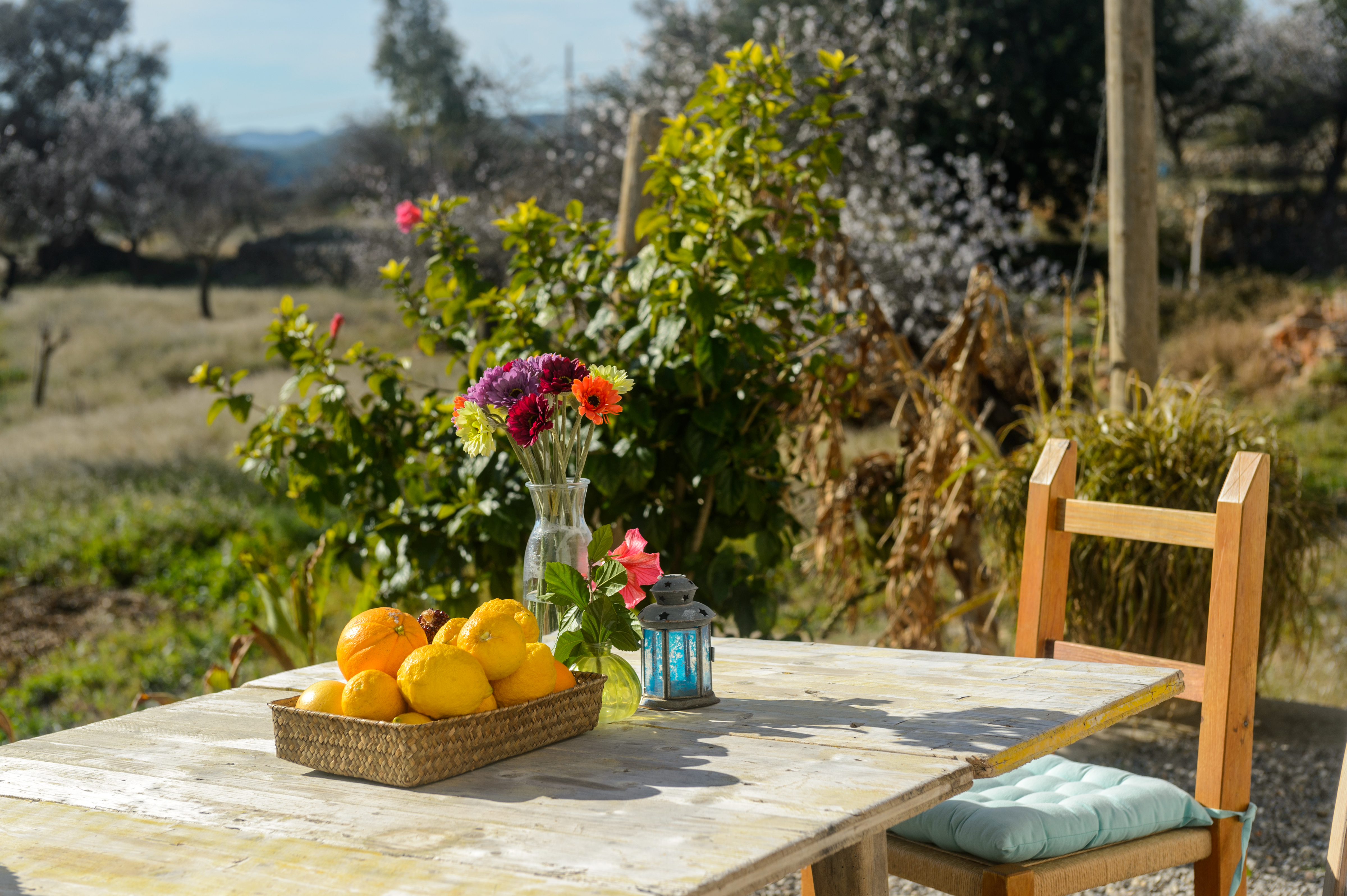 Es Mirador de Can Prats