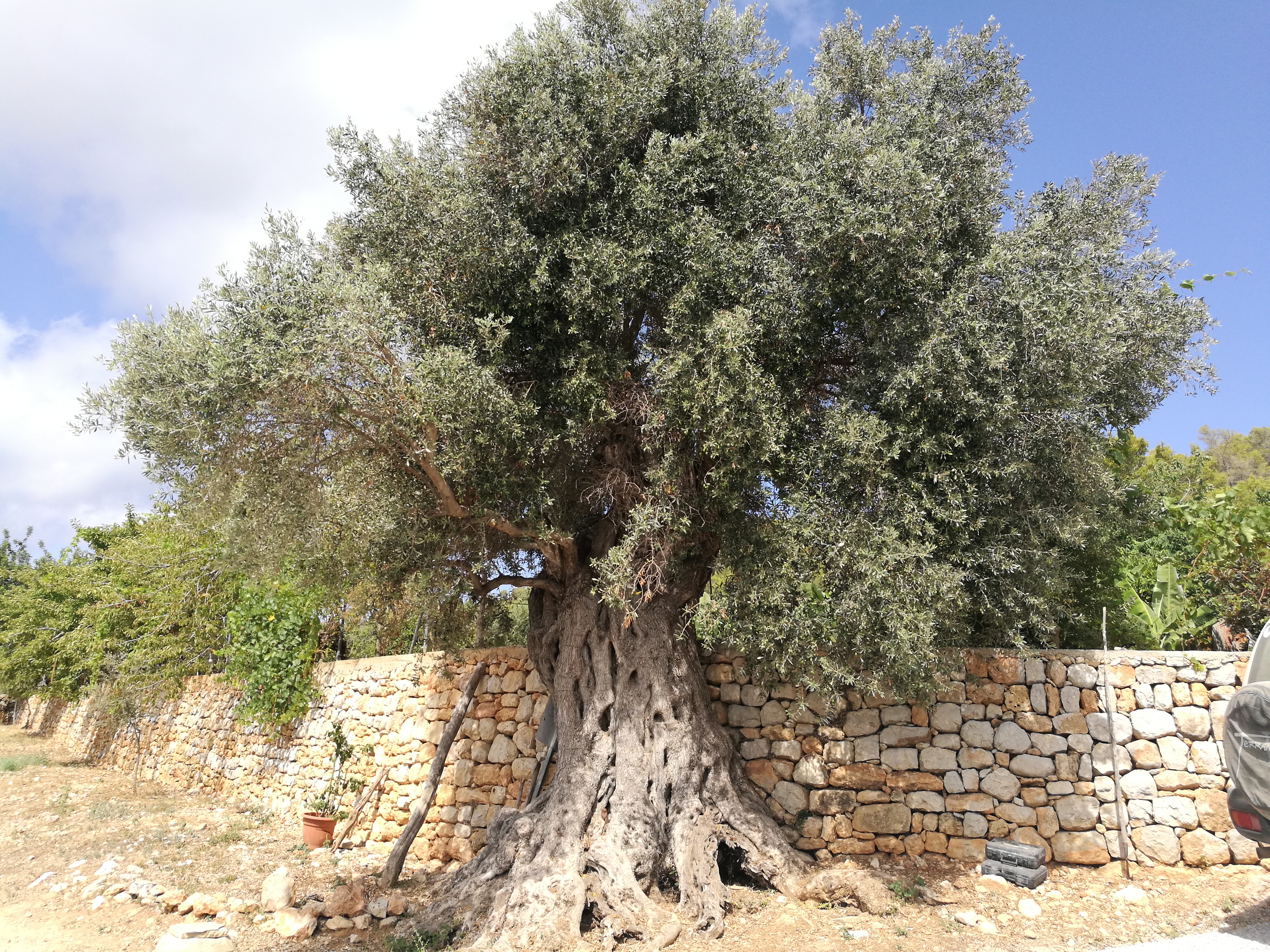 Es Mirador de Can Prats