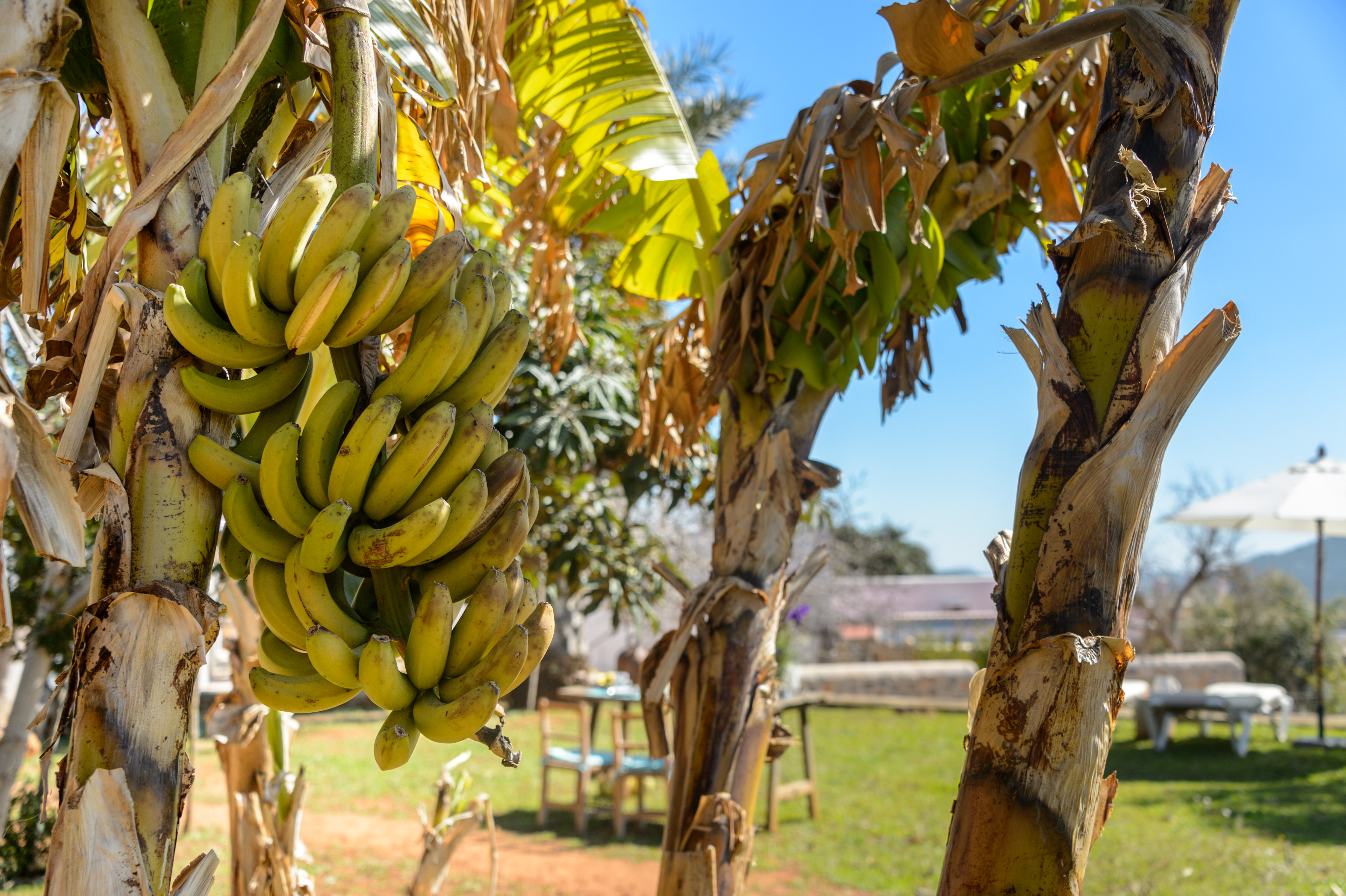 Es Mirador de Can Prats