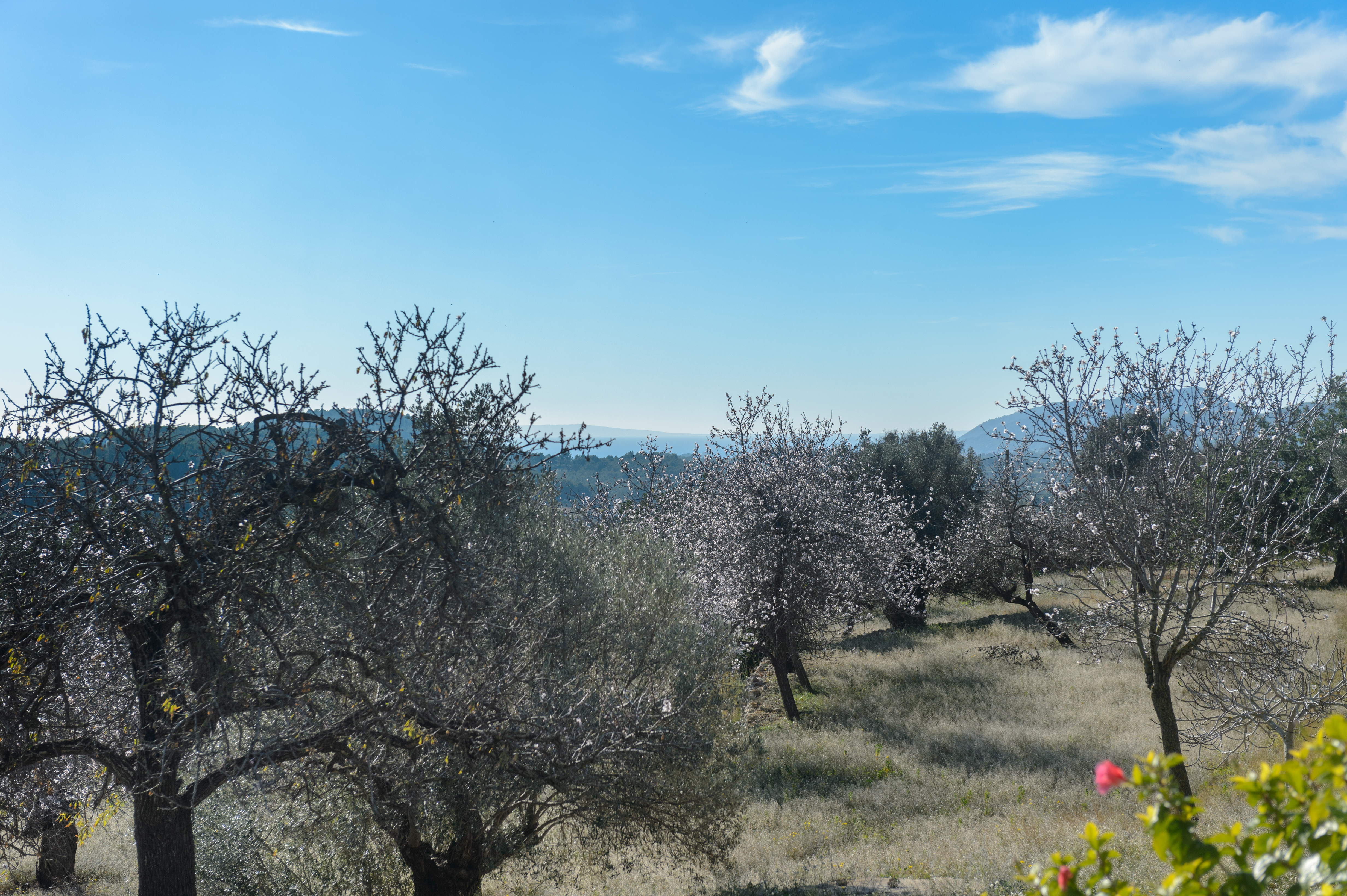 Es Mirador de Can Prats