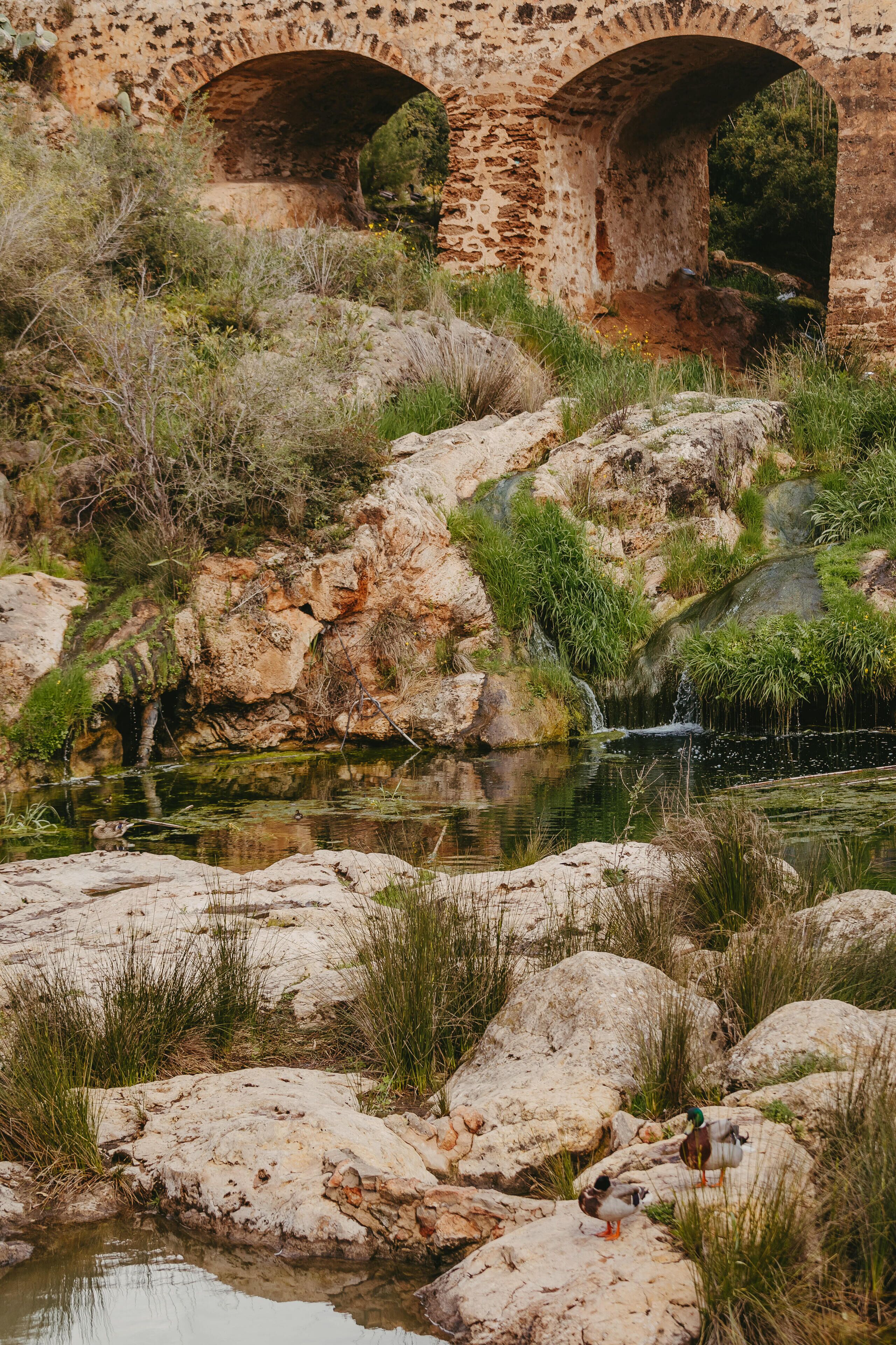 Hotel Riomar, Ibiza, a Tribute Portfolio Hotel