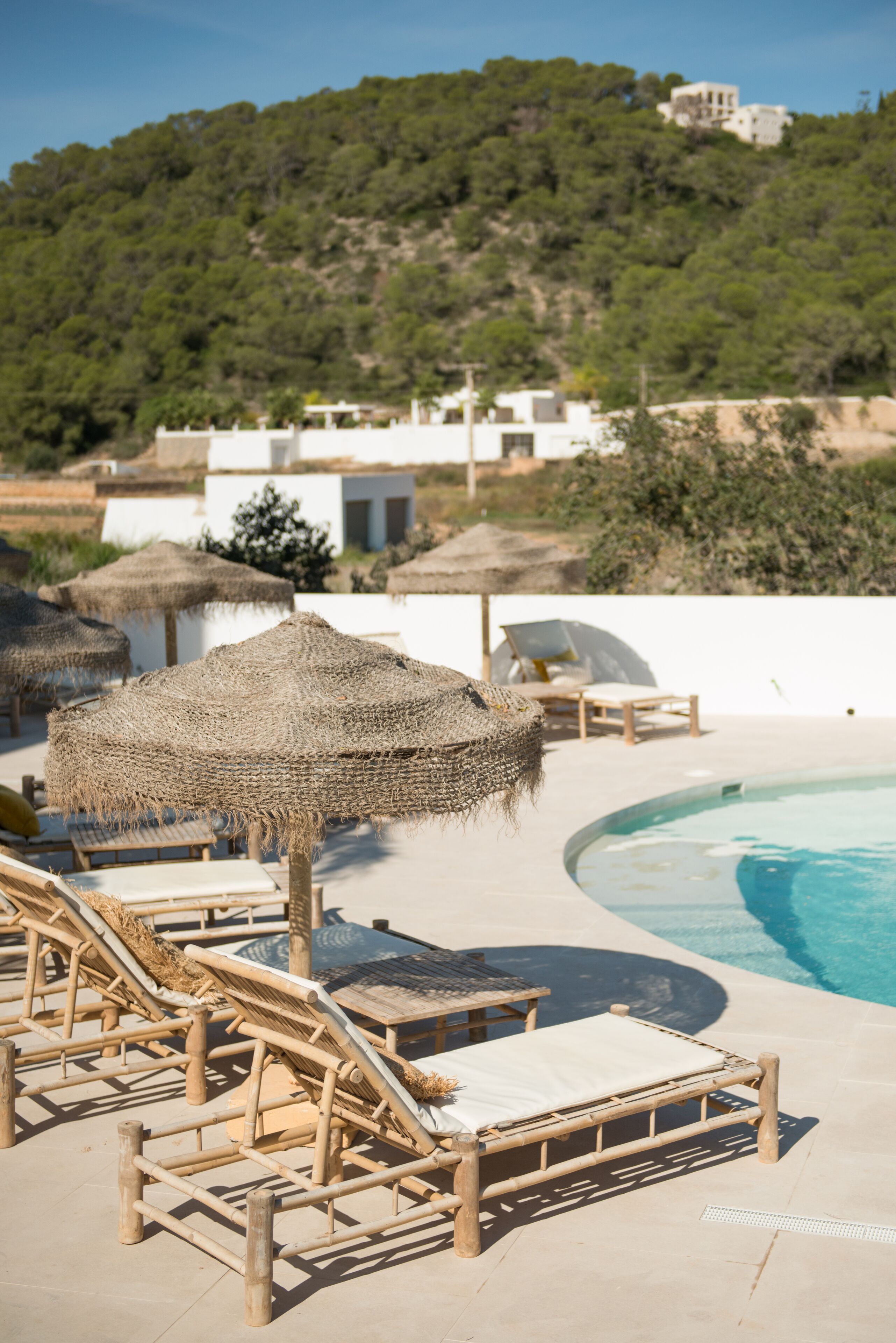 The Olive Boutique Suites and Spa