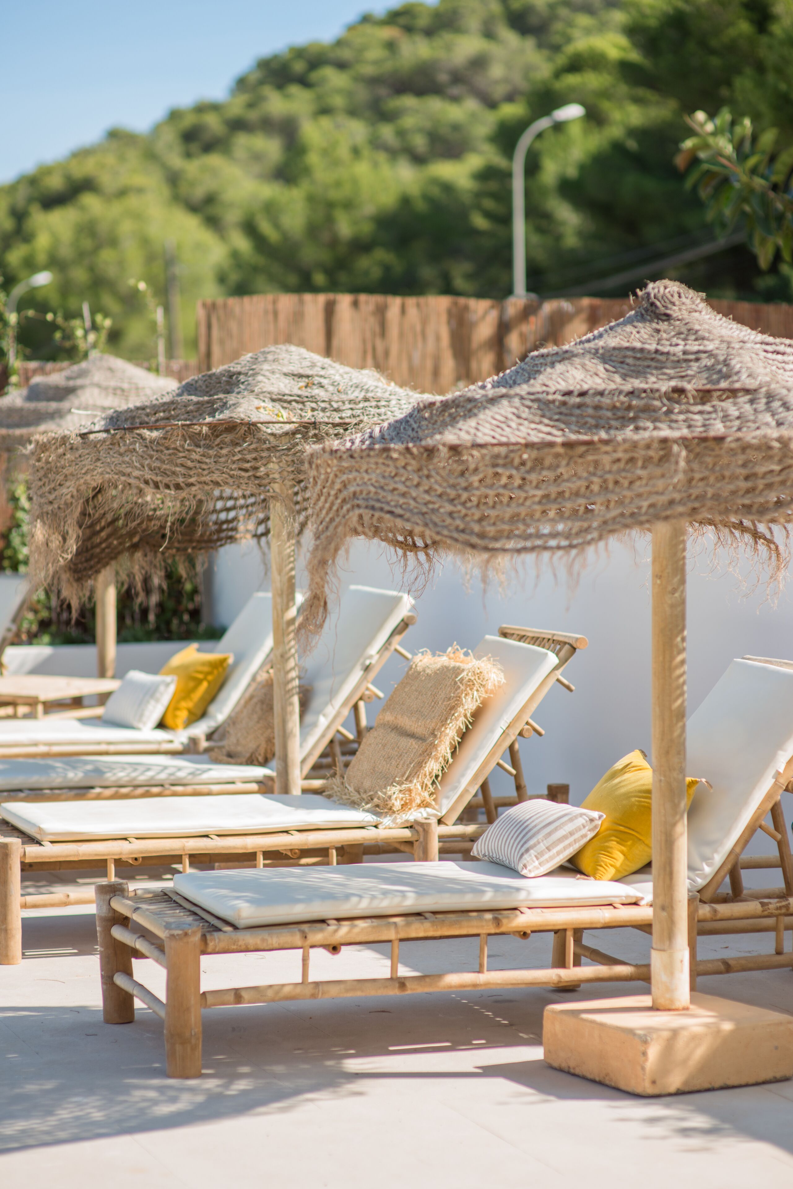 The Olive Boutique Suites and Spa