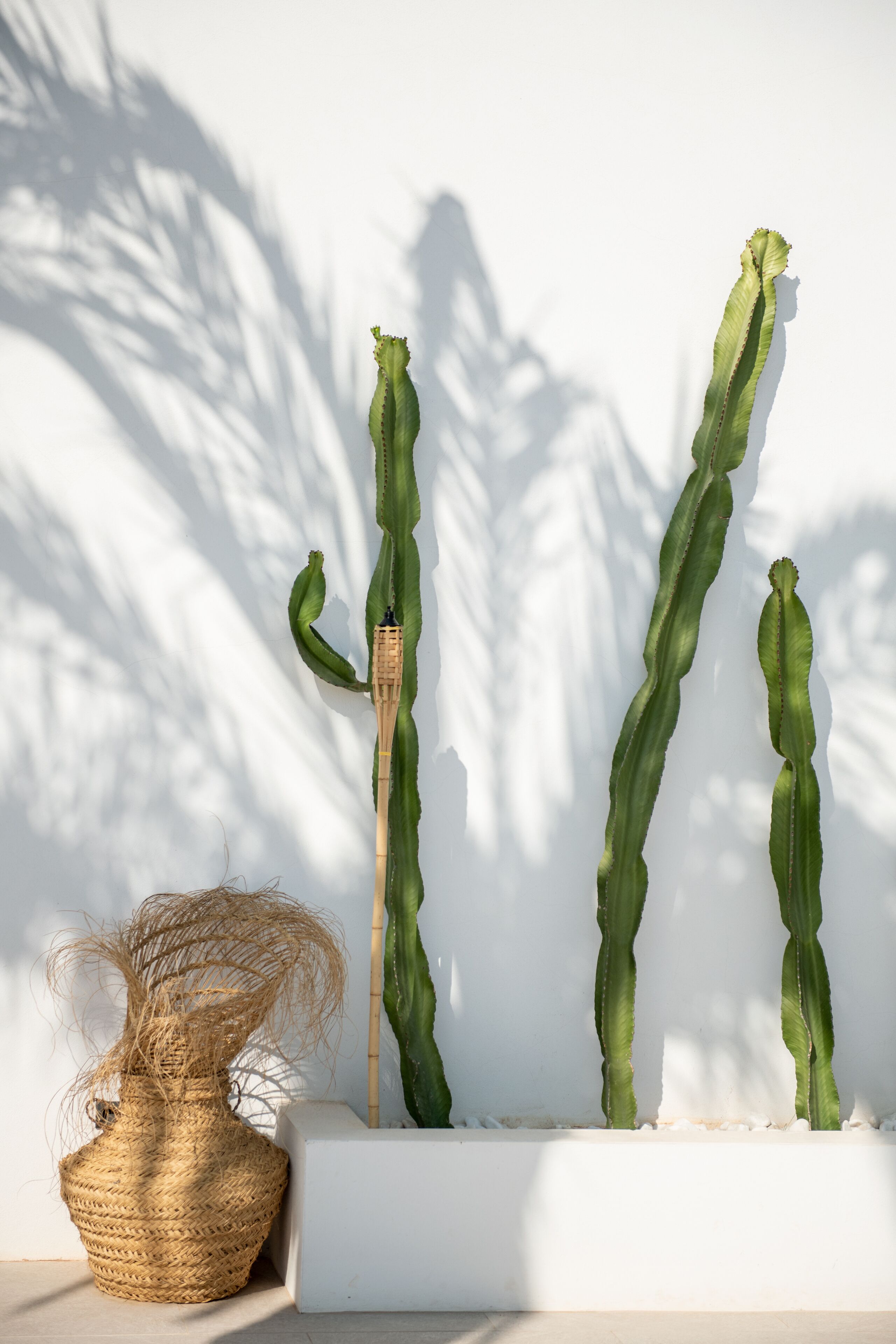 The Olive Boutique Suites and Spa