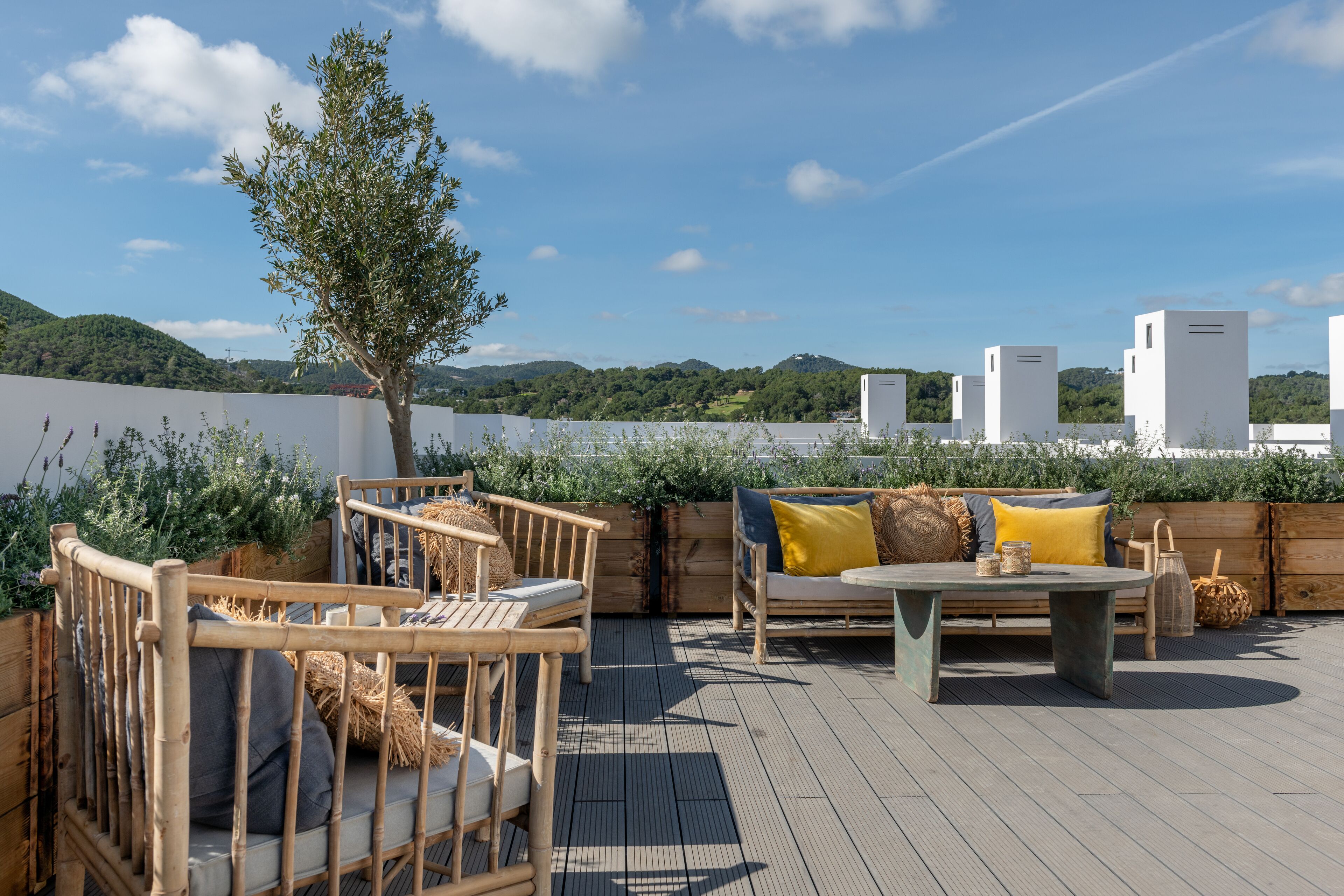 The Olive Boutique Suites and Spa