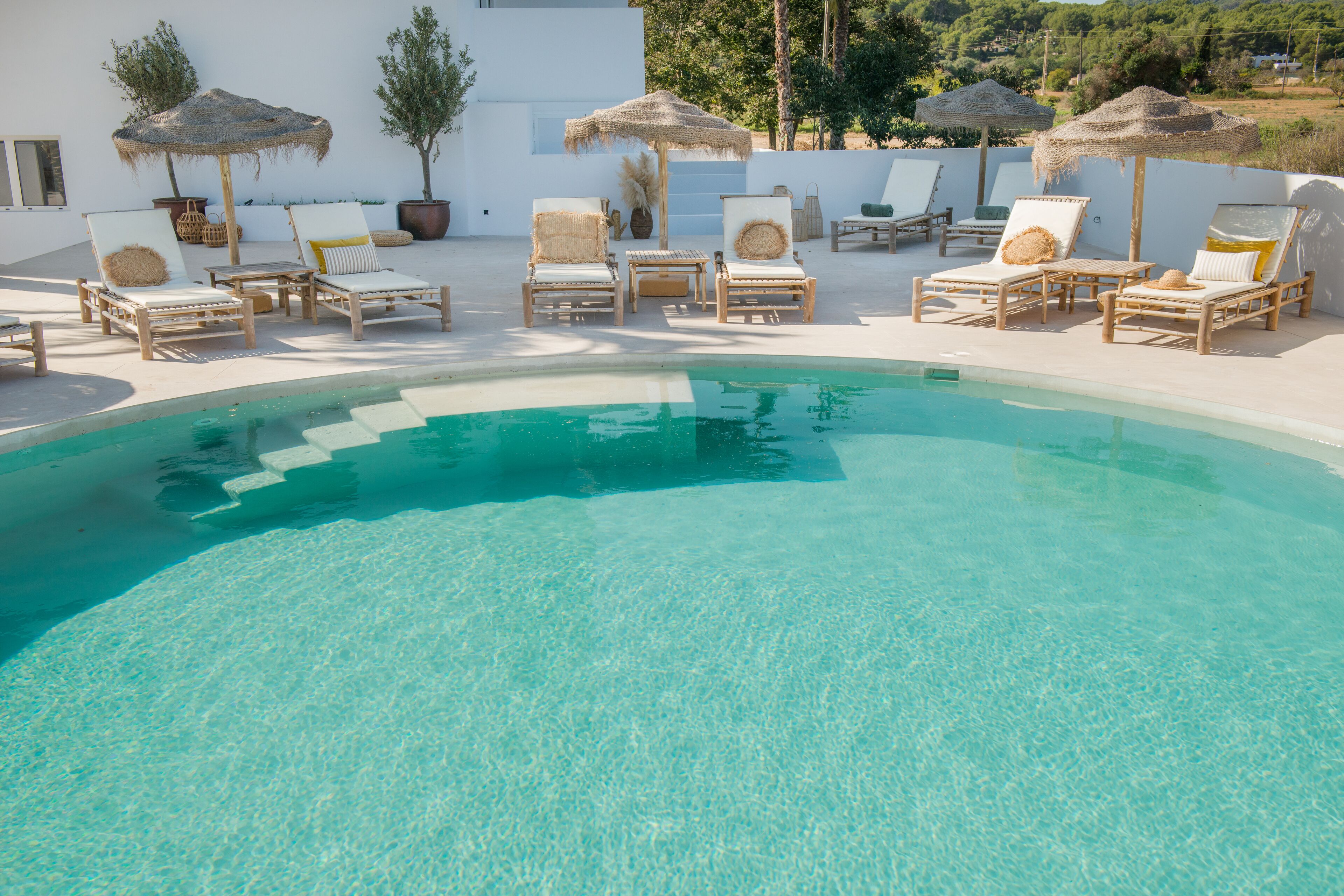 The Olive Boutique Suites and Spa