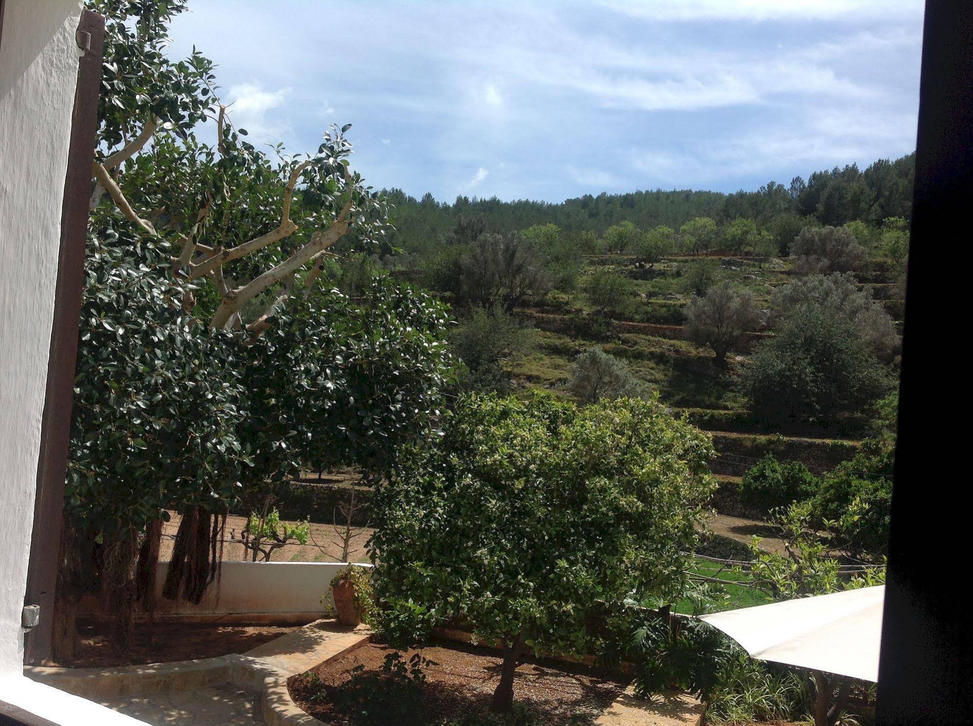 Valley Club Ibiza - Boutique Agroturismo