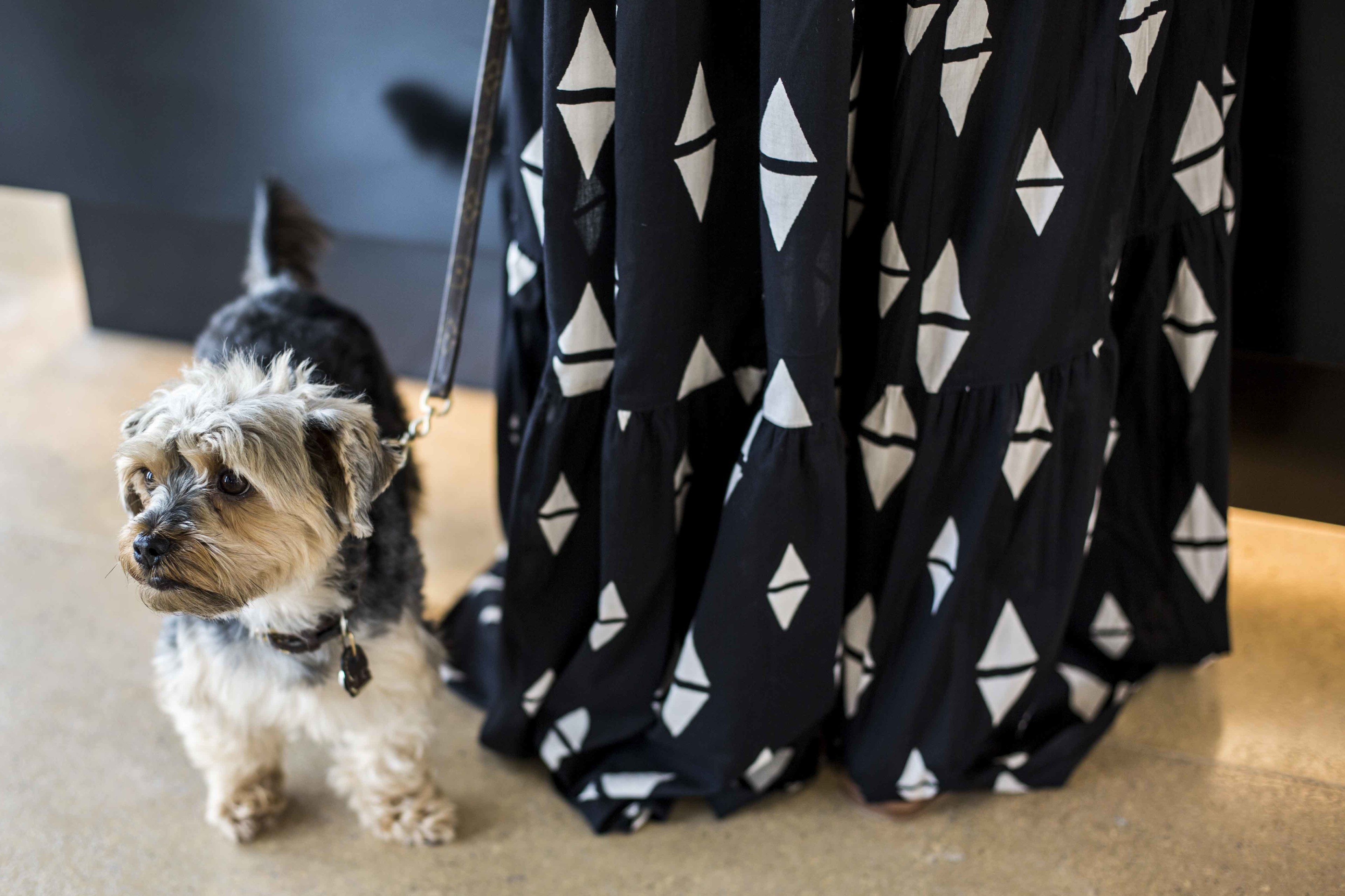 Ocean Drive Talamanca