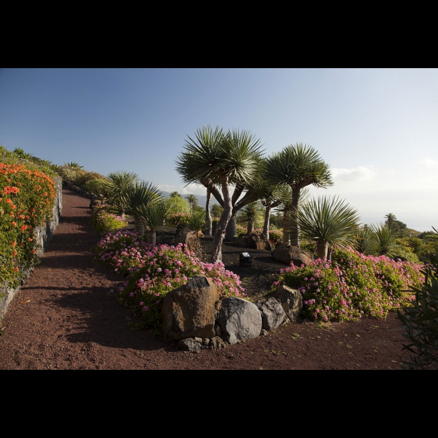 Parador de La Palma