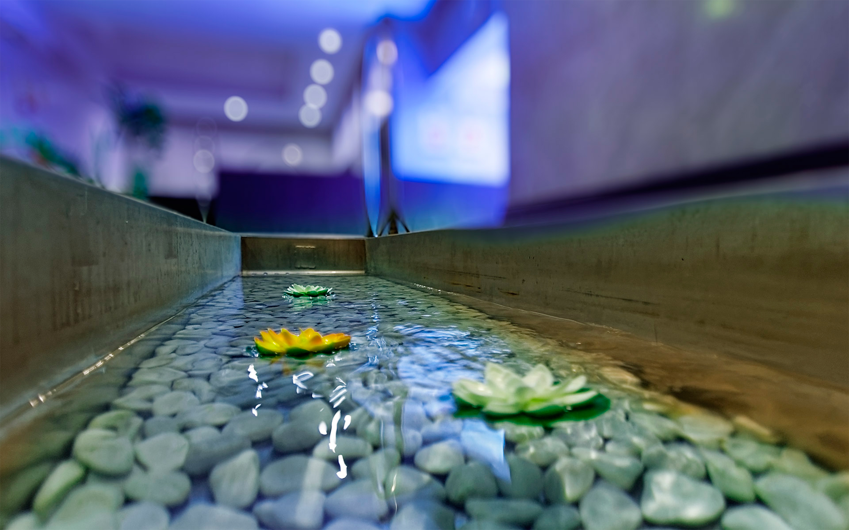 Arrecife Gran Hotel & Spa