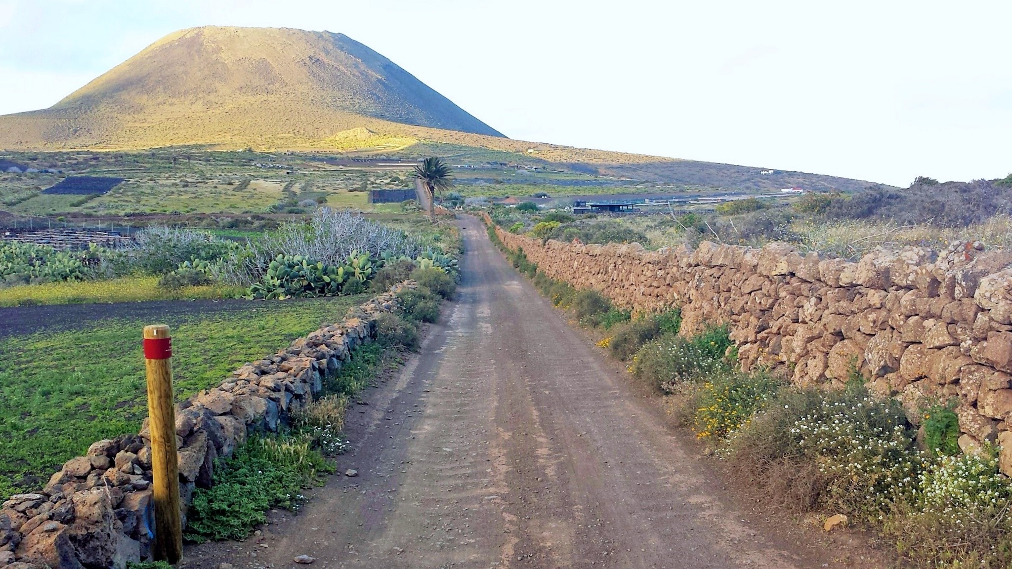 Lanzarote Ocean View