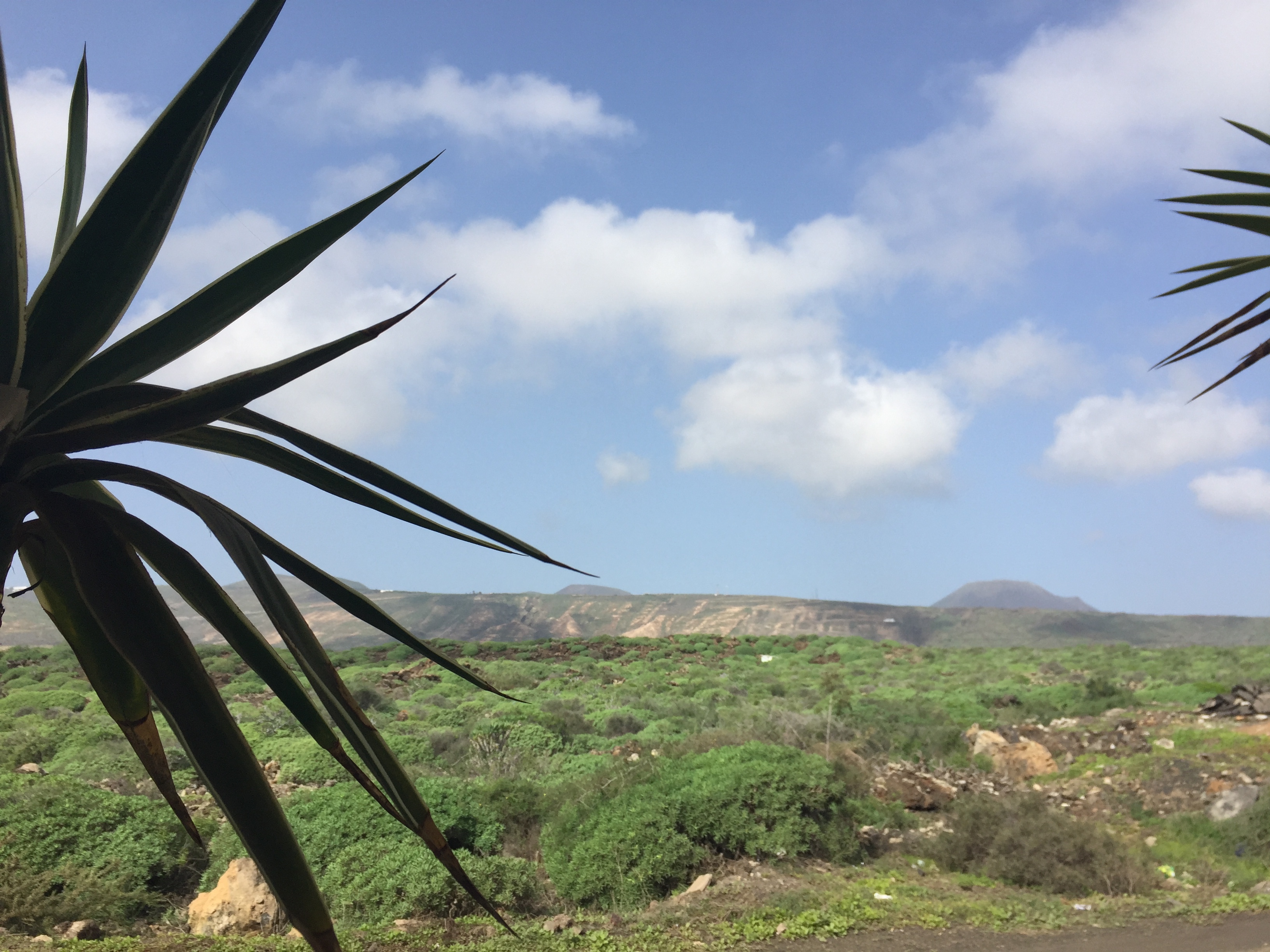 Lanzarote Ocean View