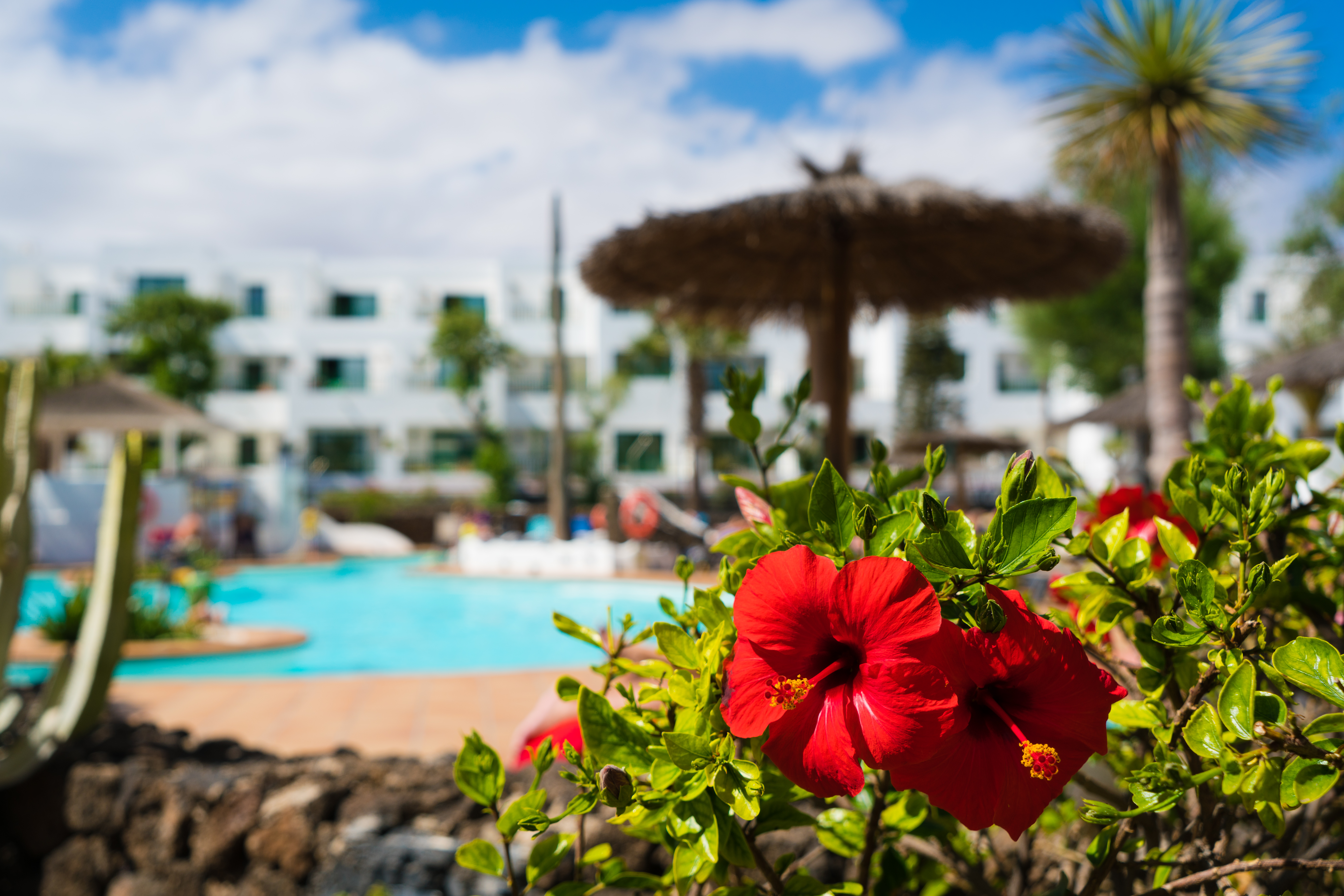 Galeón Playa by SeaSense Hotels